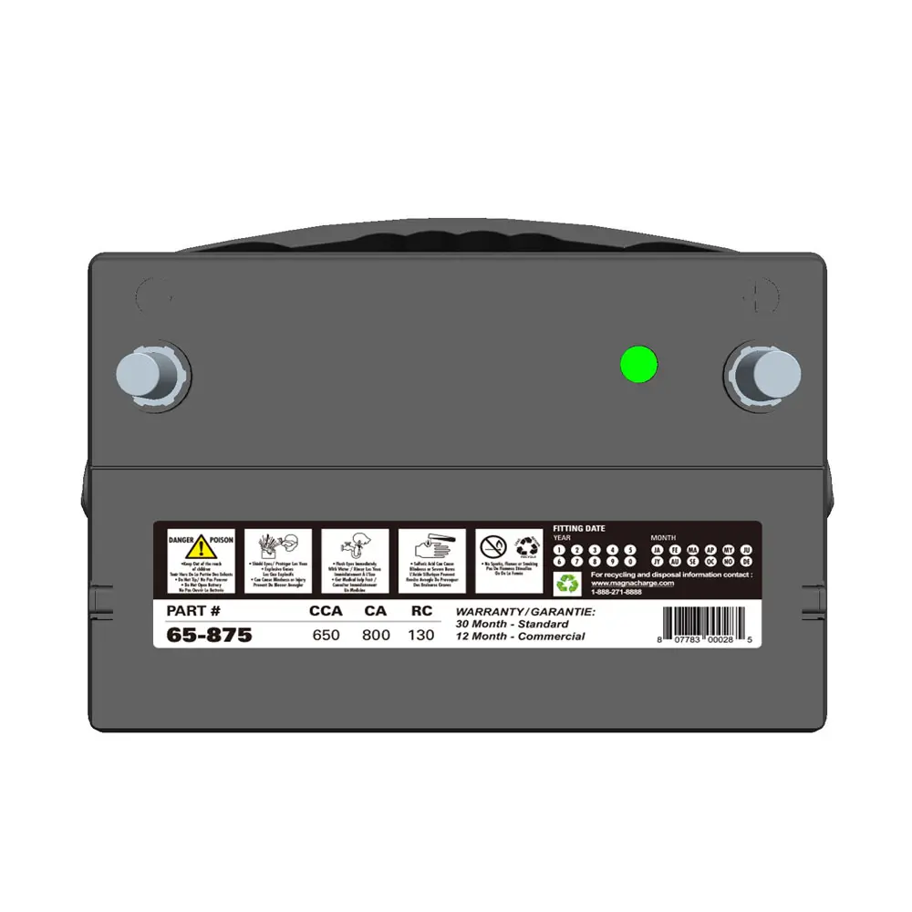 MagnaCharge Group 65 650CCA Vehicle Battery