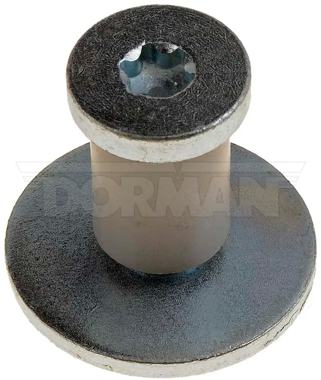 DOOR STRIKER BOLT