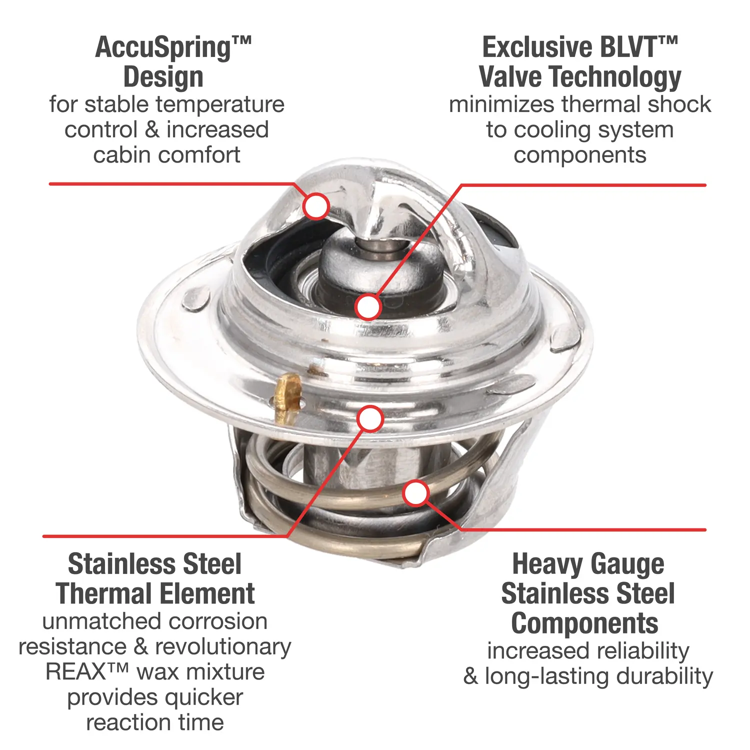 Motorad Engine Coolant Thermostat