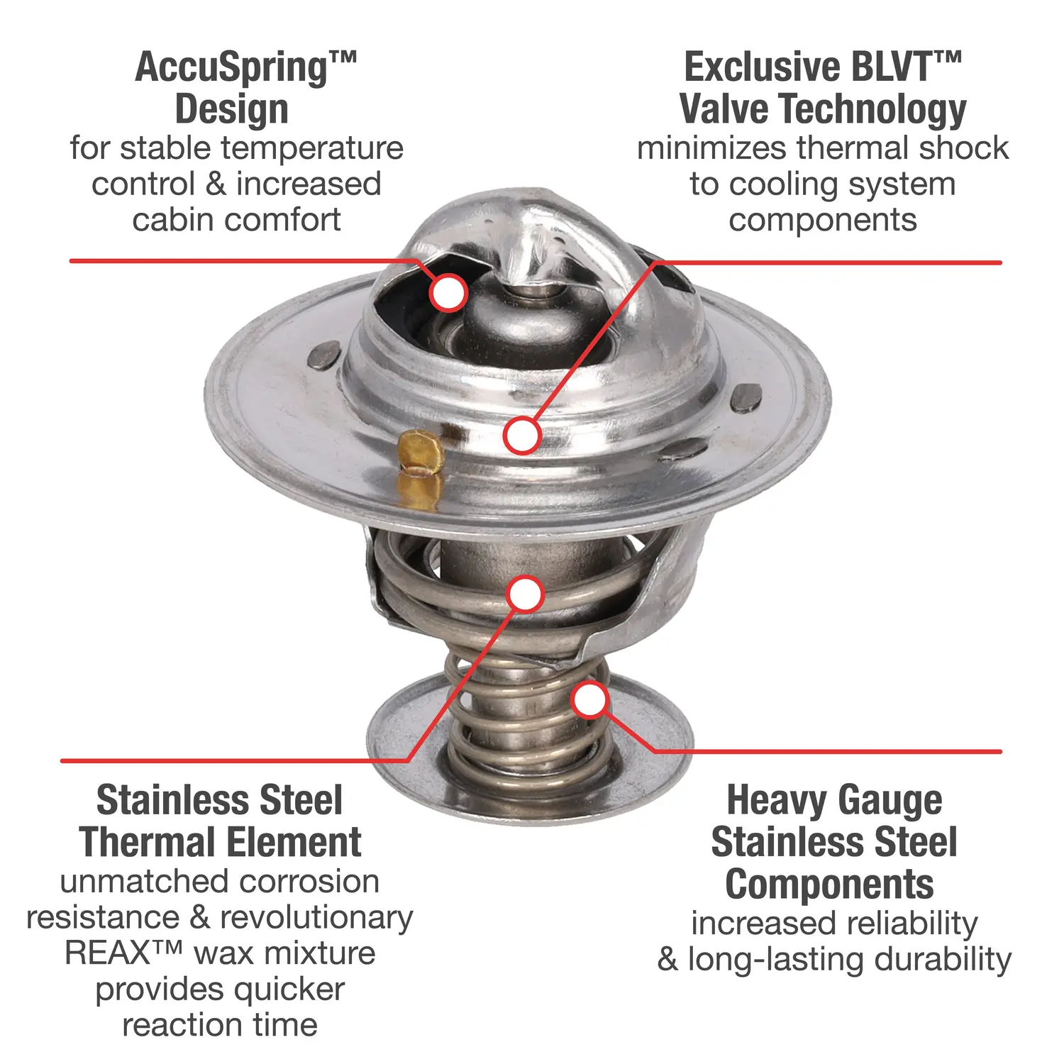 Motorad Engine Coolant Thermostat