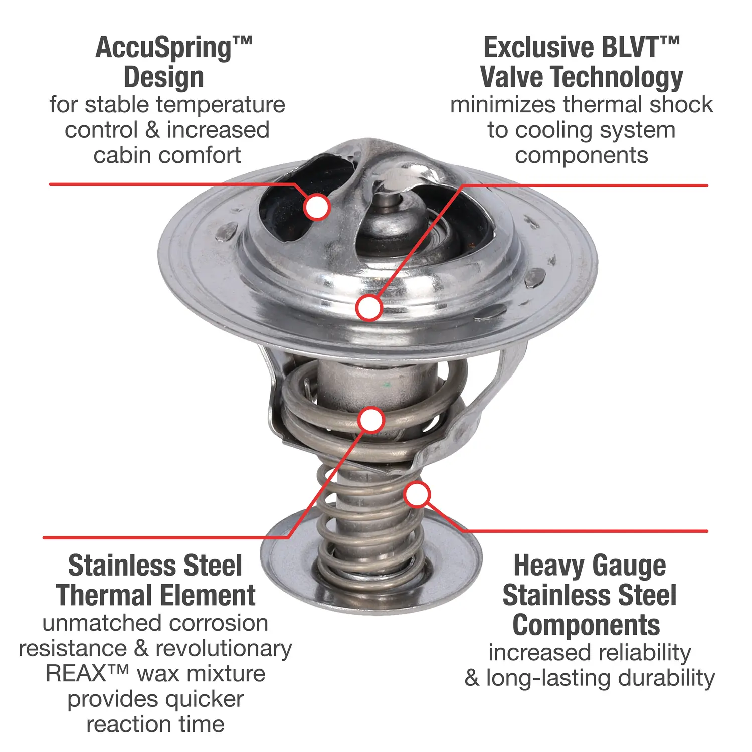 Motorad Engine Coolant Thermostat