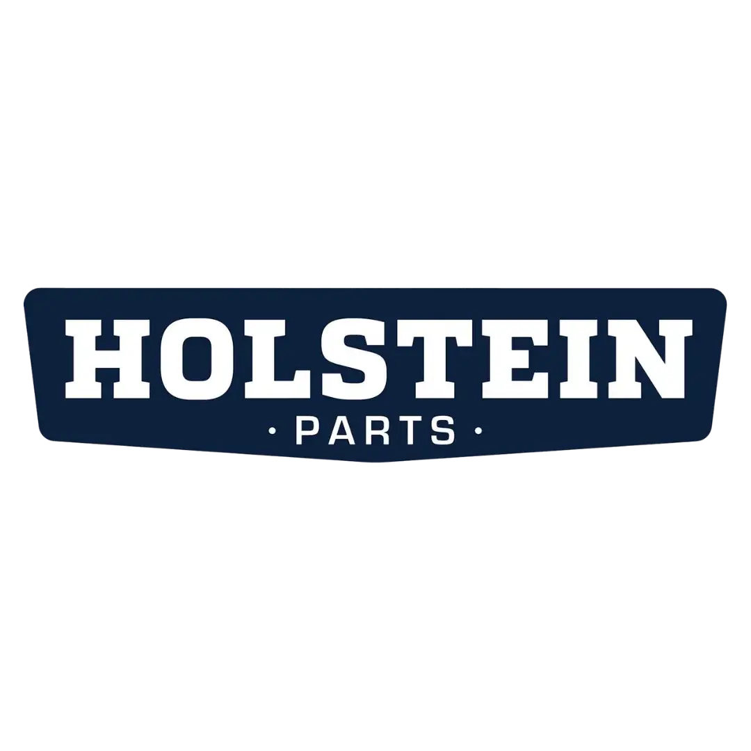 HOLSTEIN