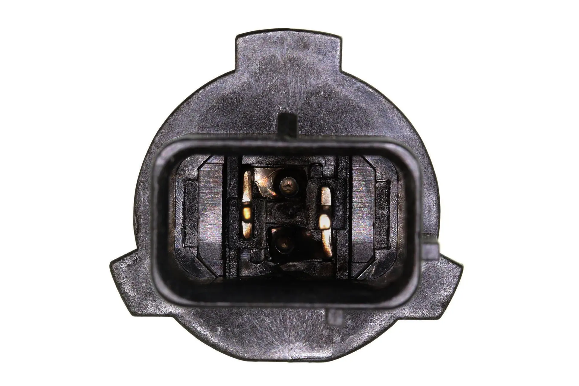 VEMO Headlight Bulb