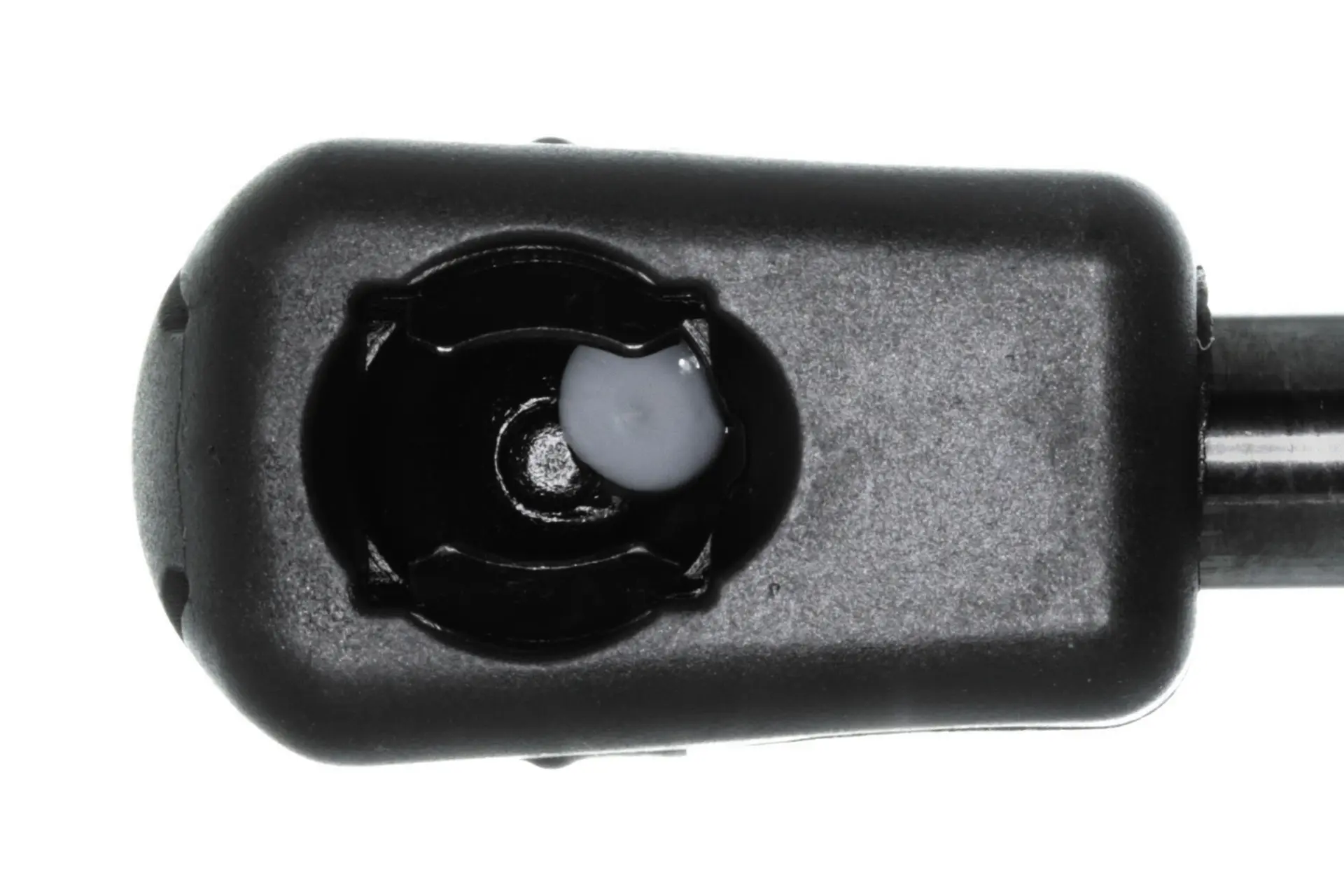 VAICO Tailgate Lift Support