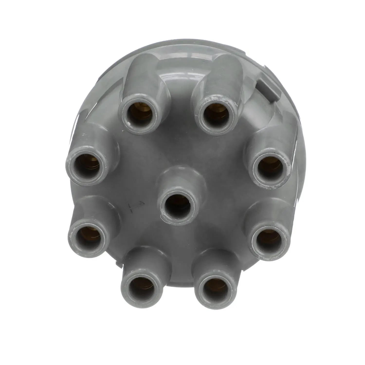 Distributor Cap