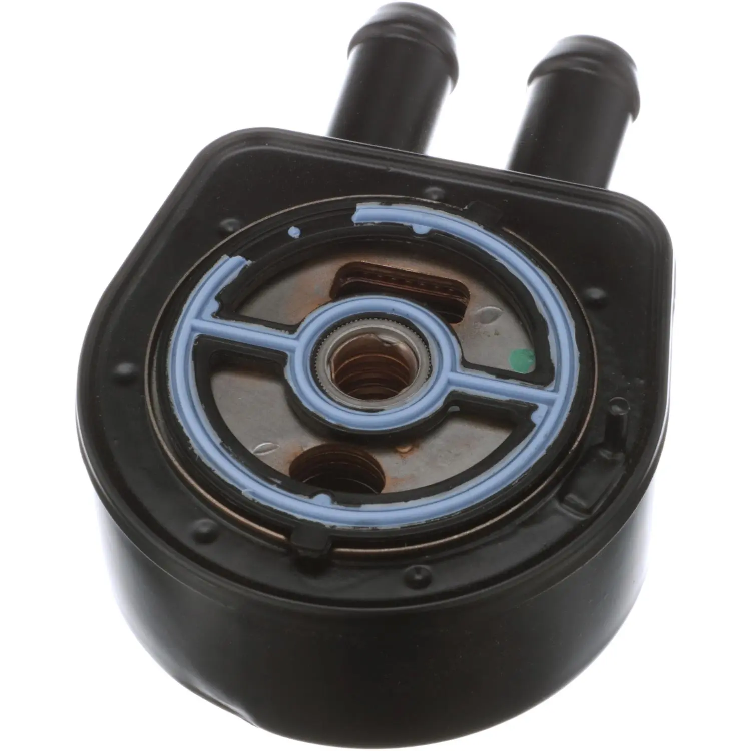 Engine Oil Cooler
