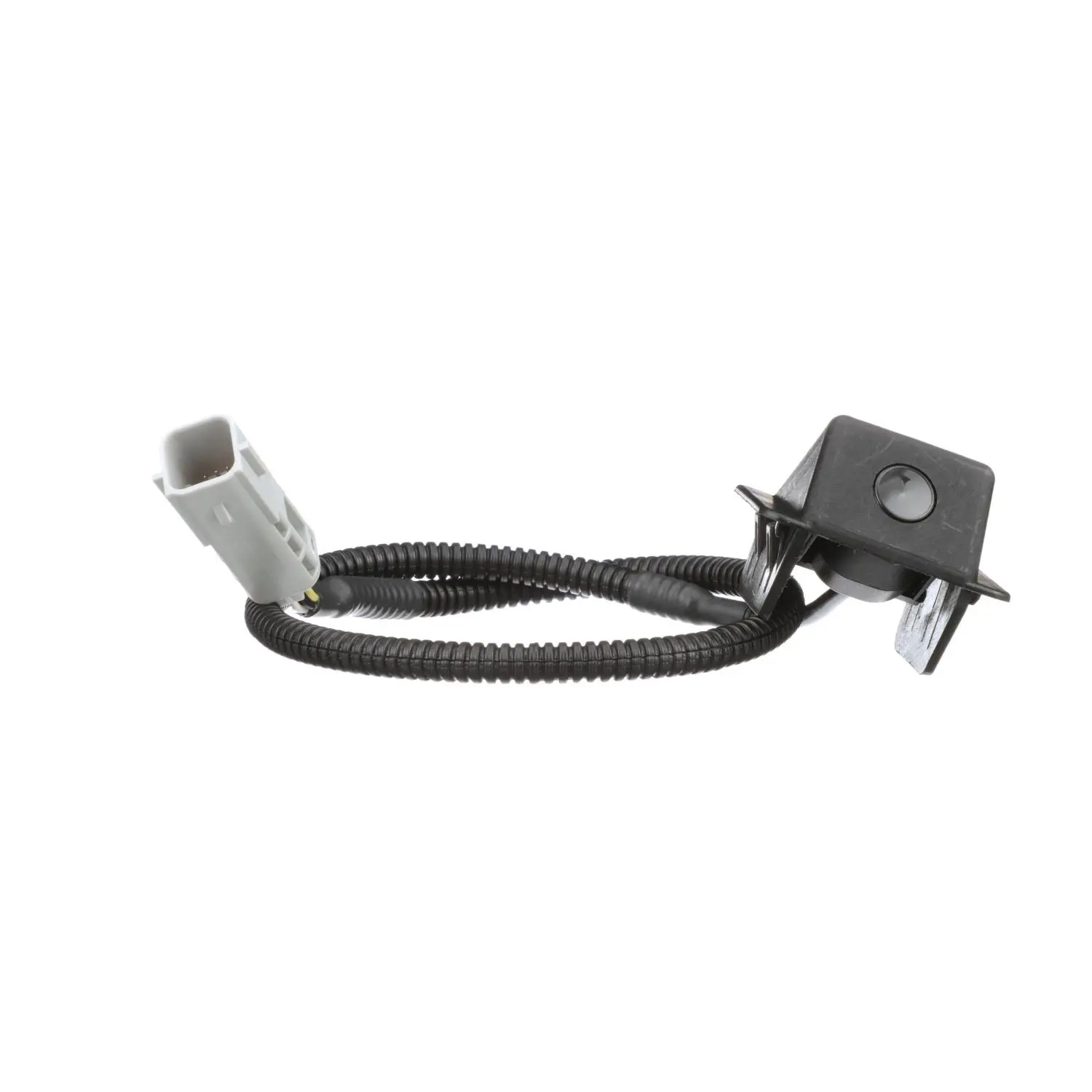 Park Assist Camera