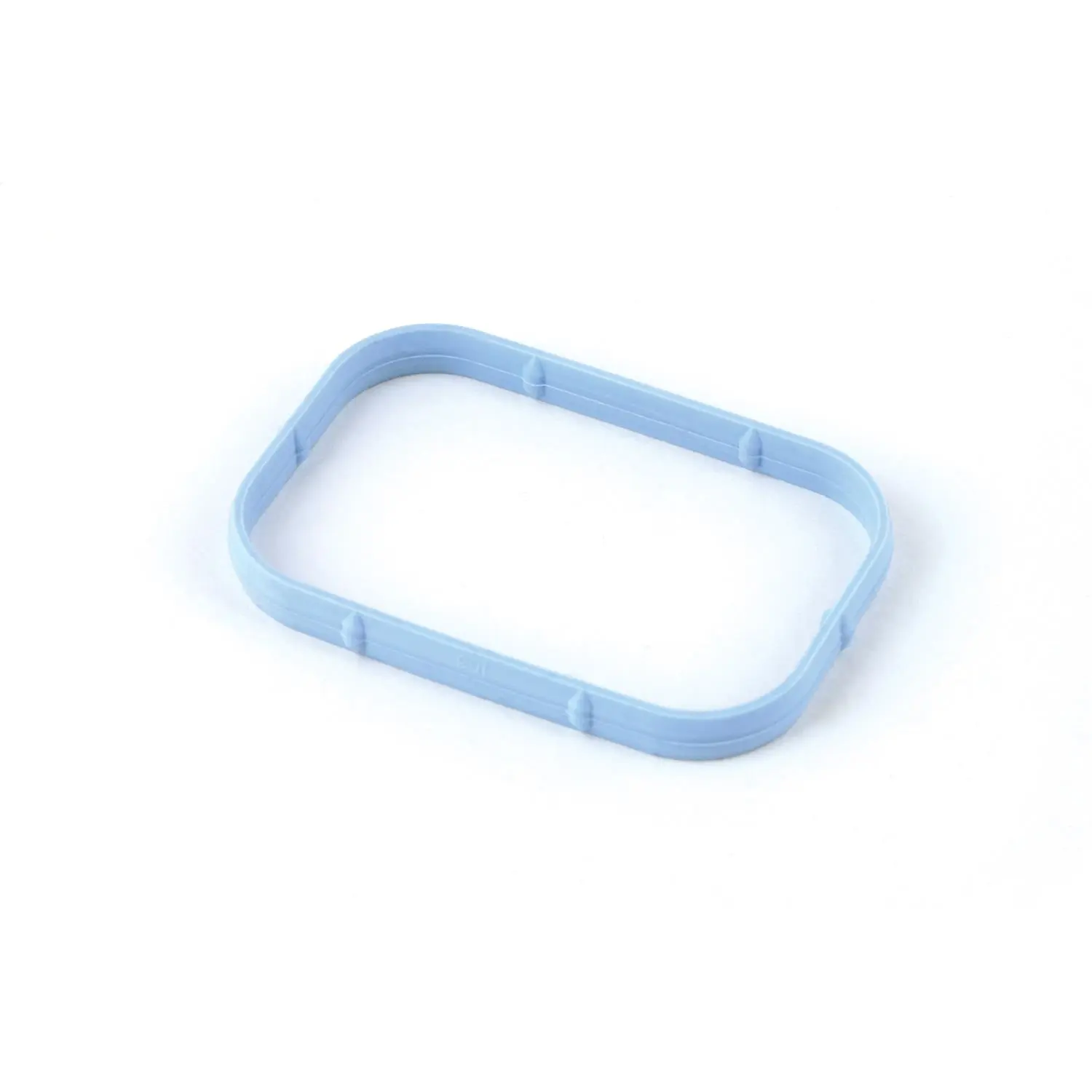 Plenum Gasket