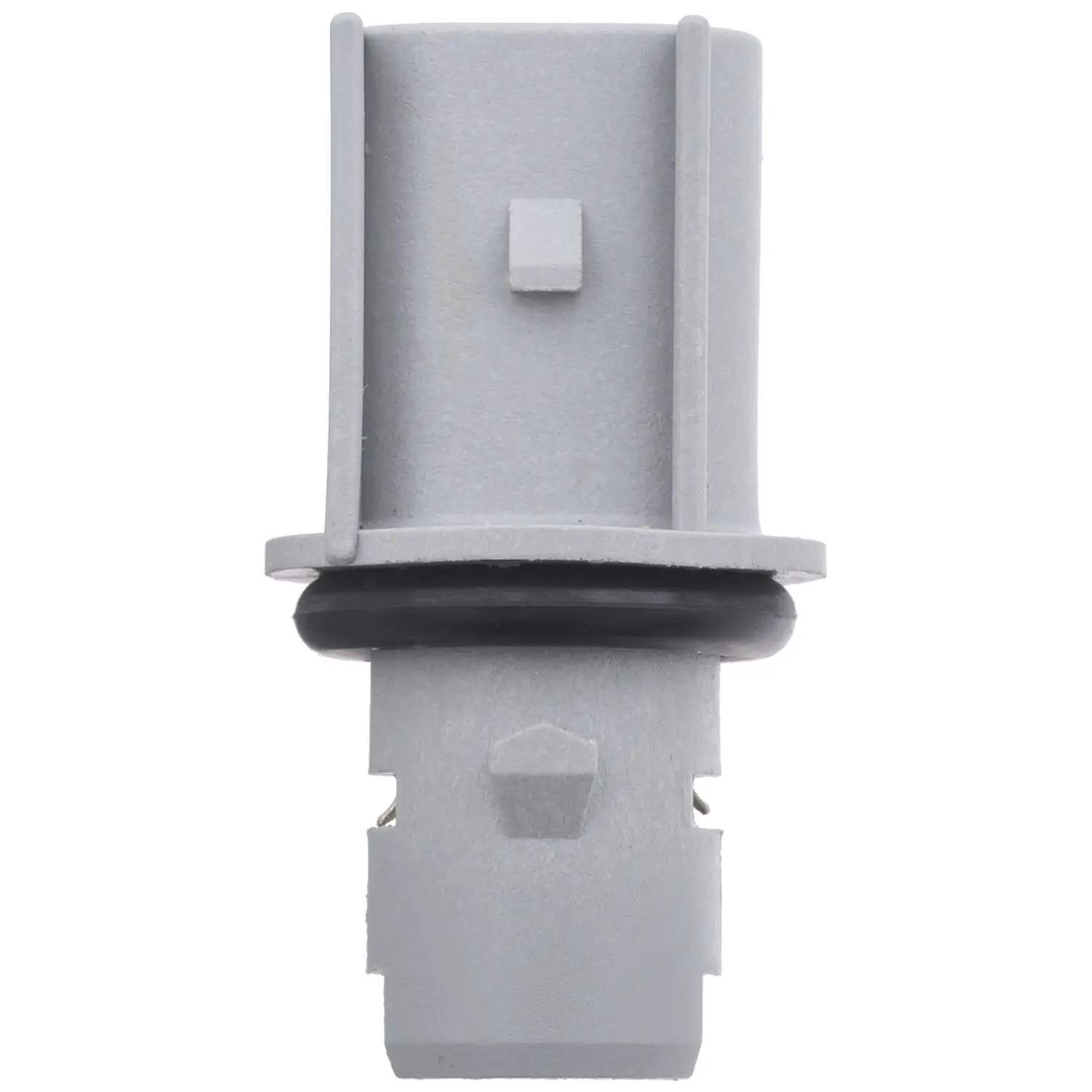 Back-Up Light Socket