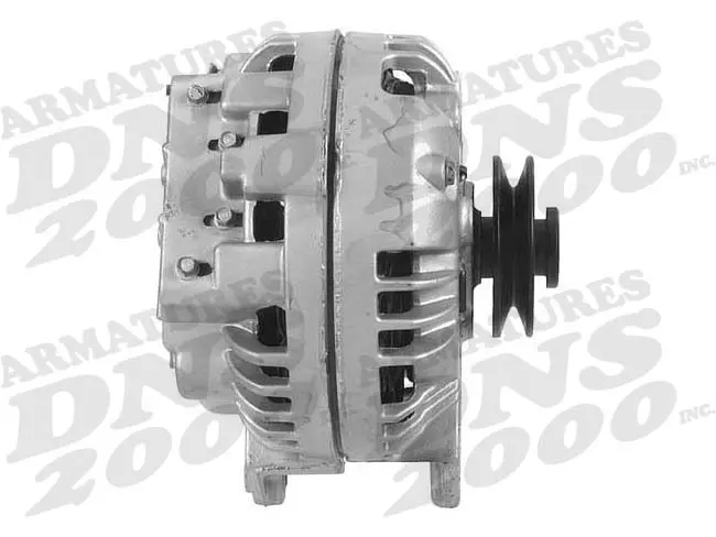 DNS Alternator miniature 2