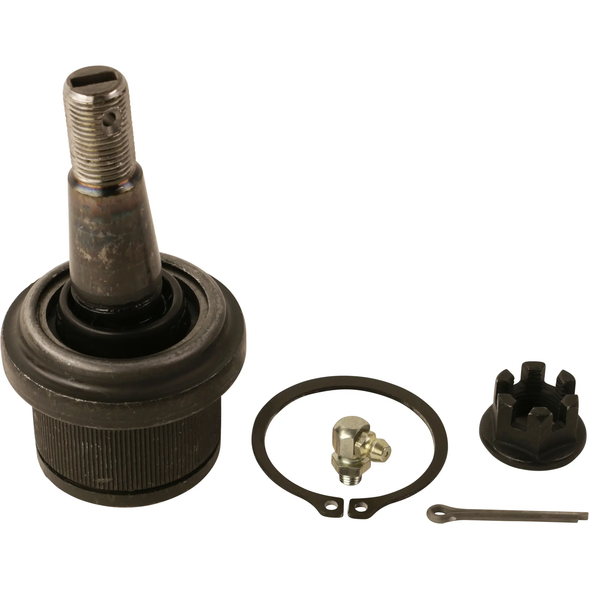 Rotula - main product image
