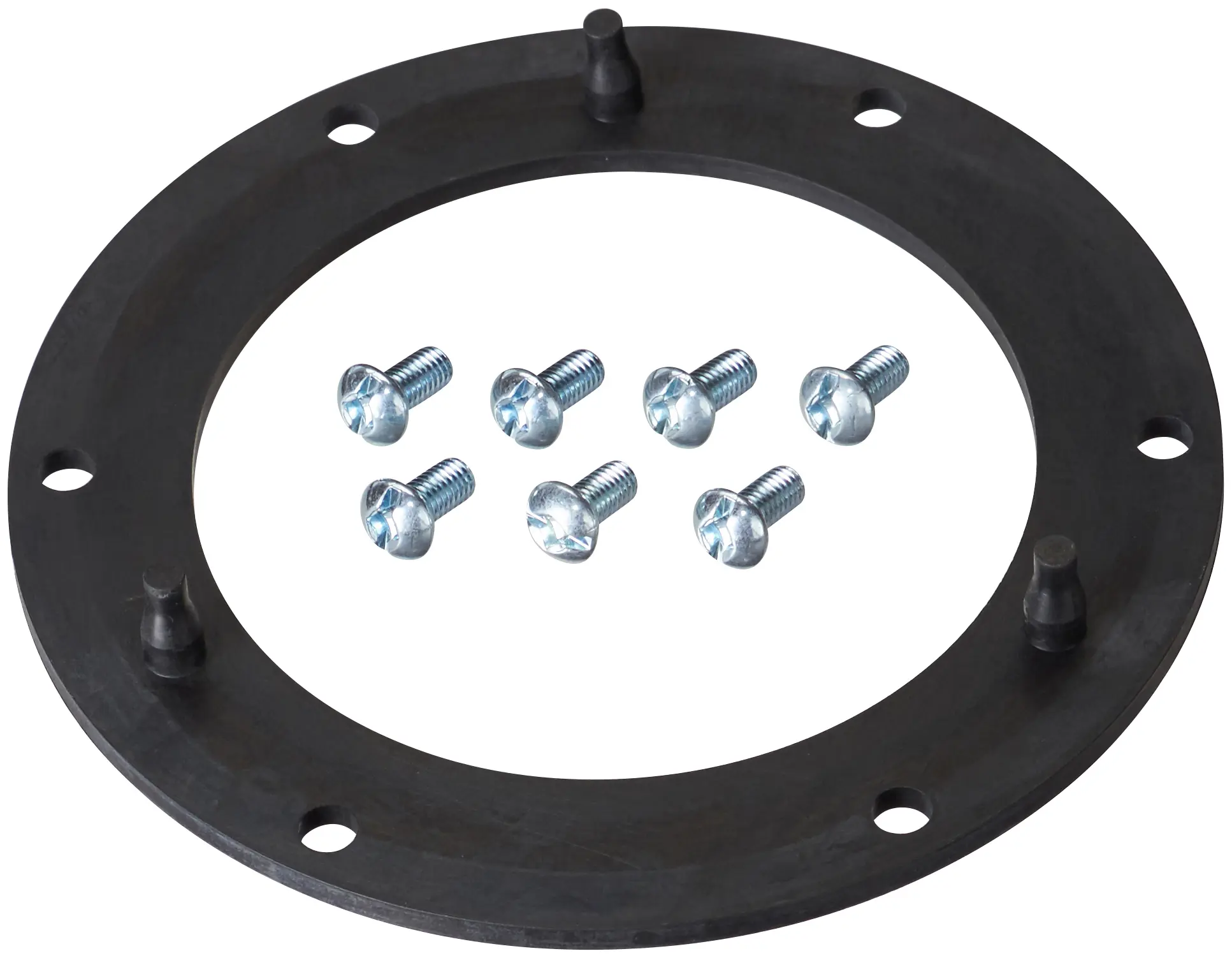 Fuel Pump Tank Seal - image principale du produit