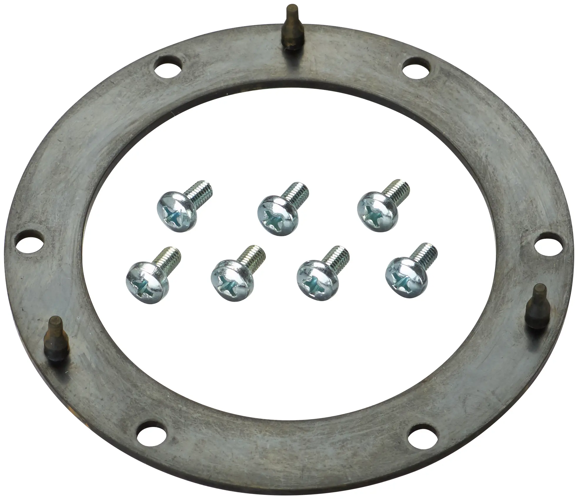 Fuel Pump Tank Seal - image principale du produit