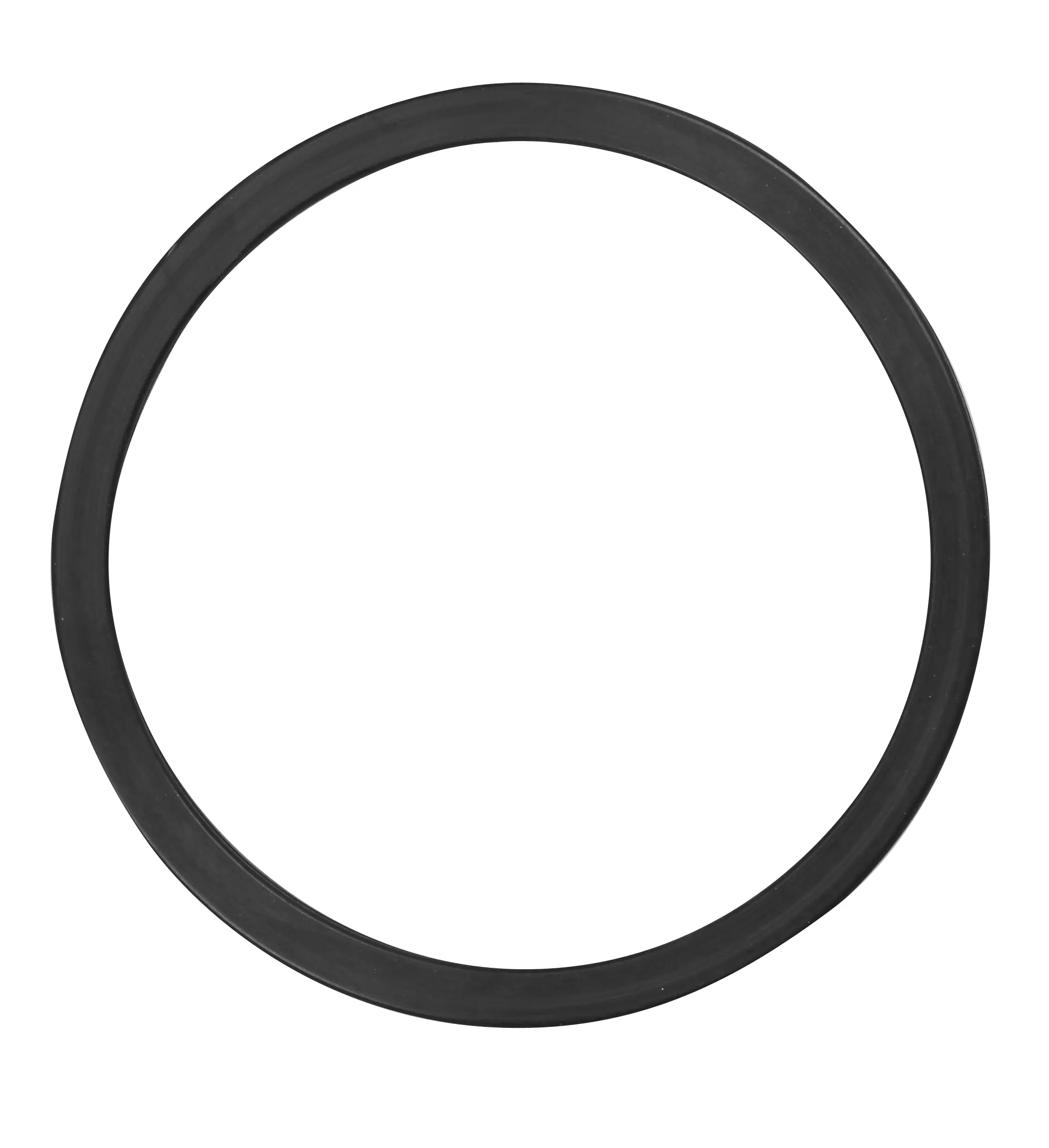 Fuel Pump Tank Seal - image principale du produit