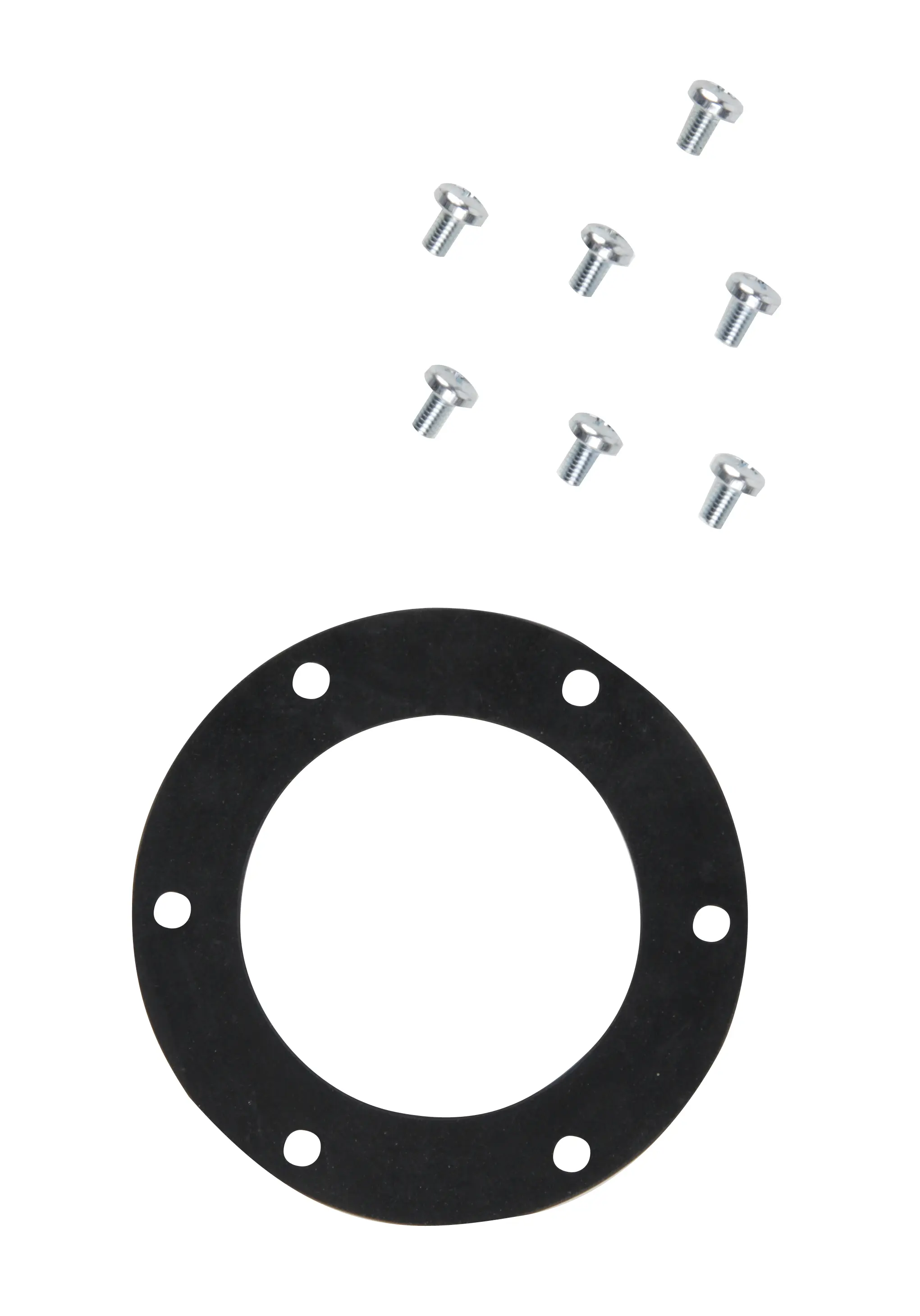 Fuel Pump Tank Seal - image principale du produit