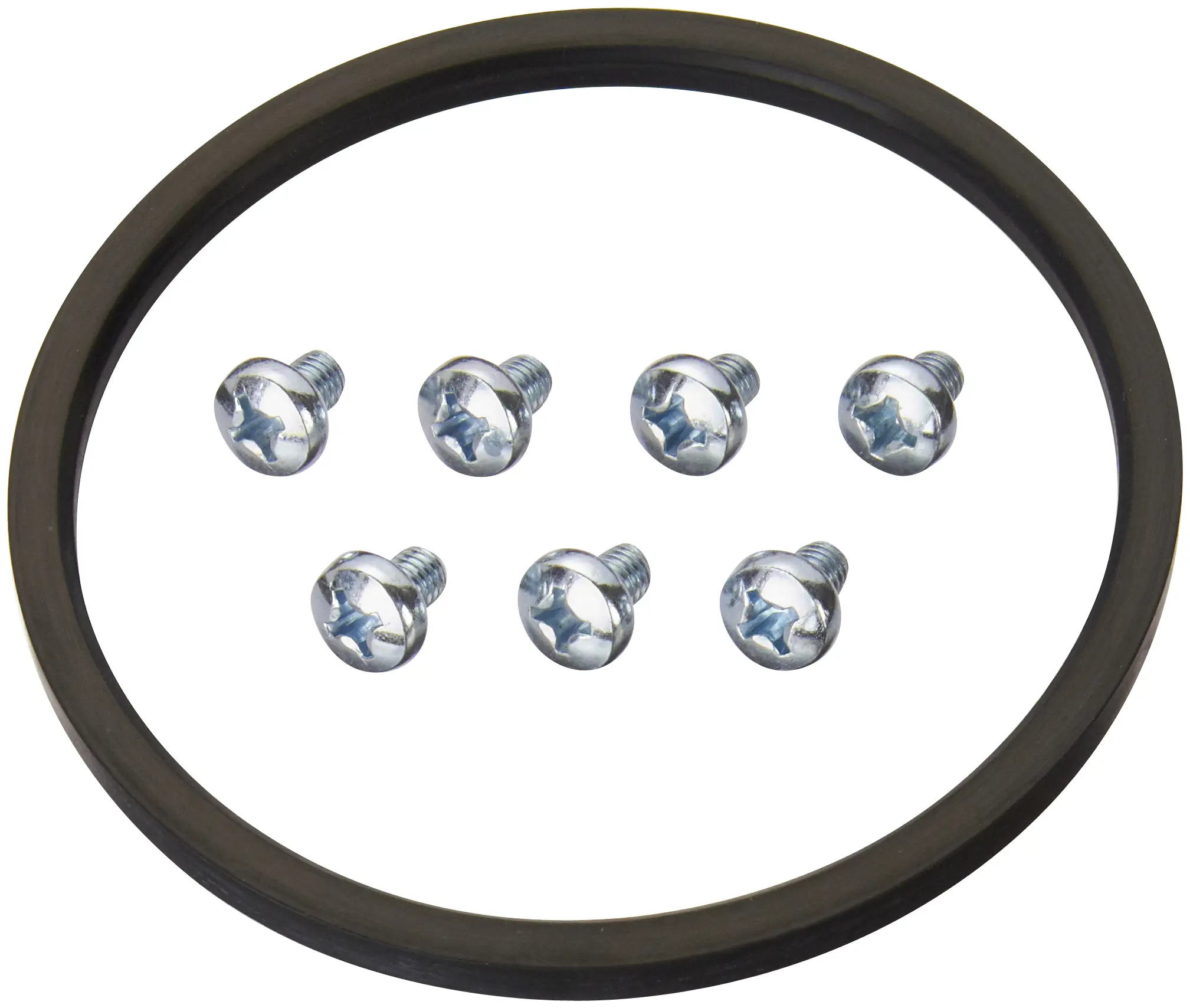 Fuel Pump Tank Seal - image principale du produit