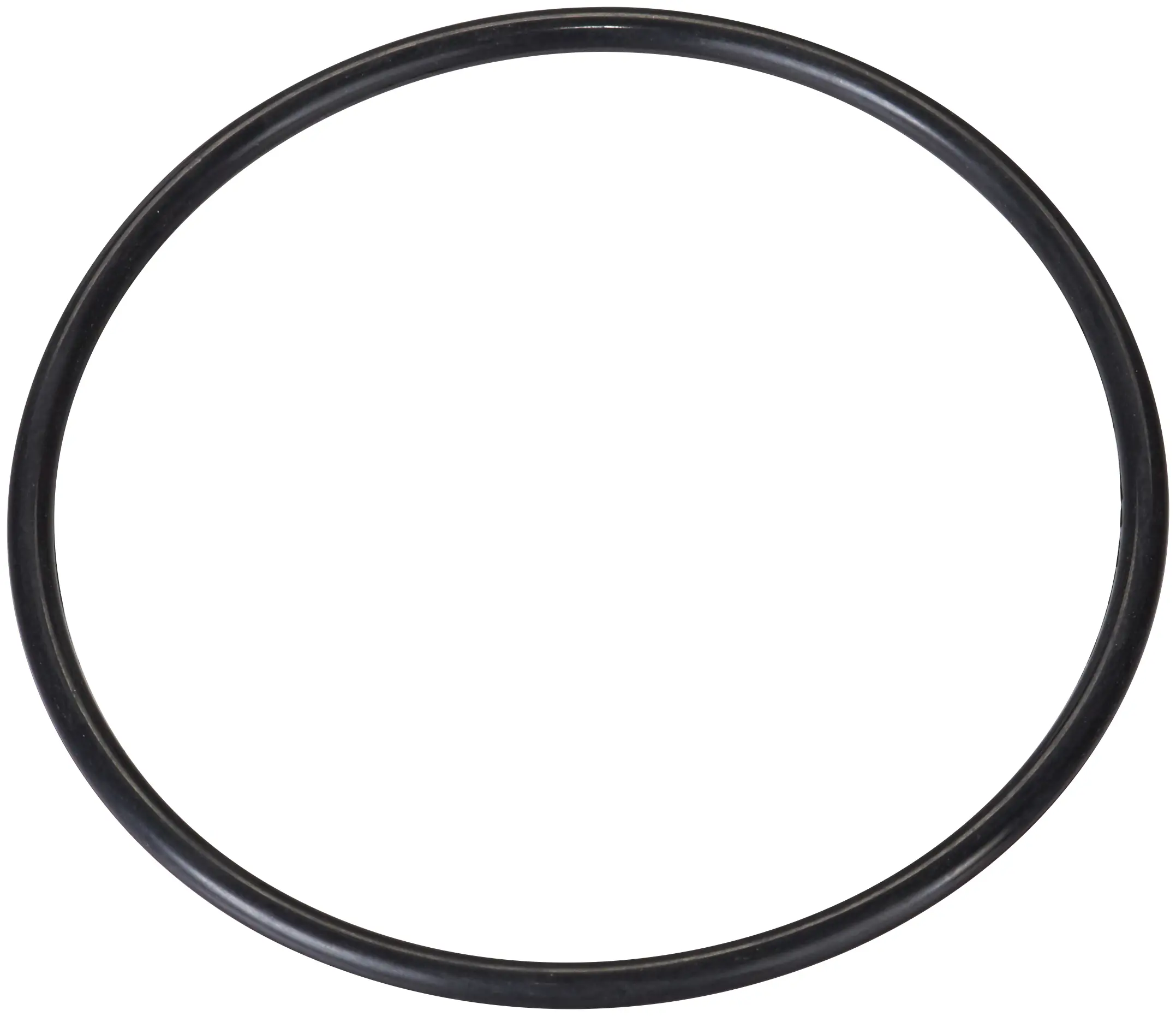 Fuel Pump Tank Seal - image principale du produit