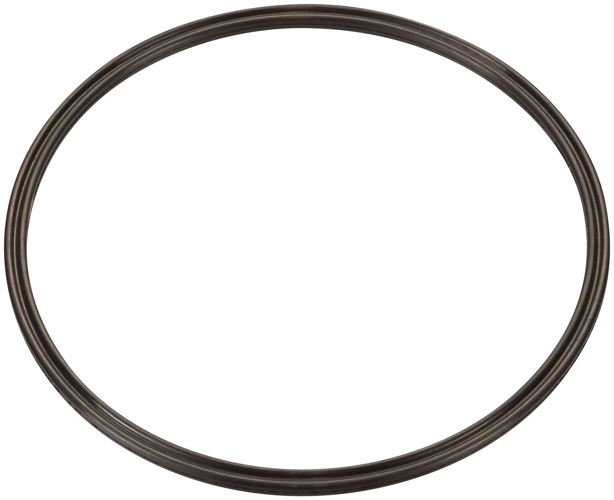 Fuel Pump Tank Seal - image principale du produit