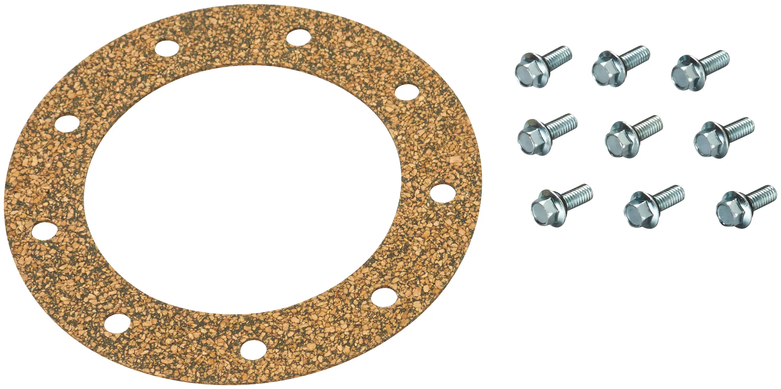 Fuel Pump Tank Seal - image principale du produit