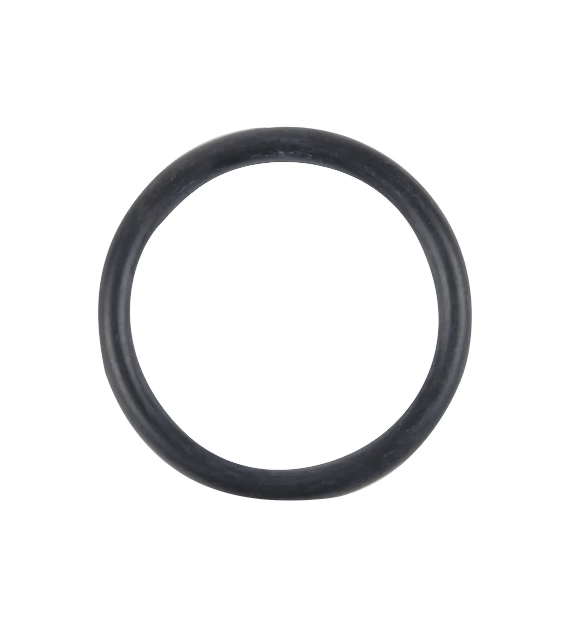 Fuel Pump Tank Seal - image principale du produit