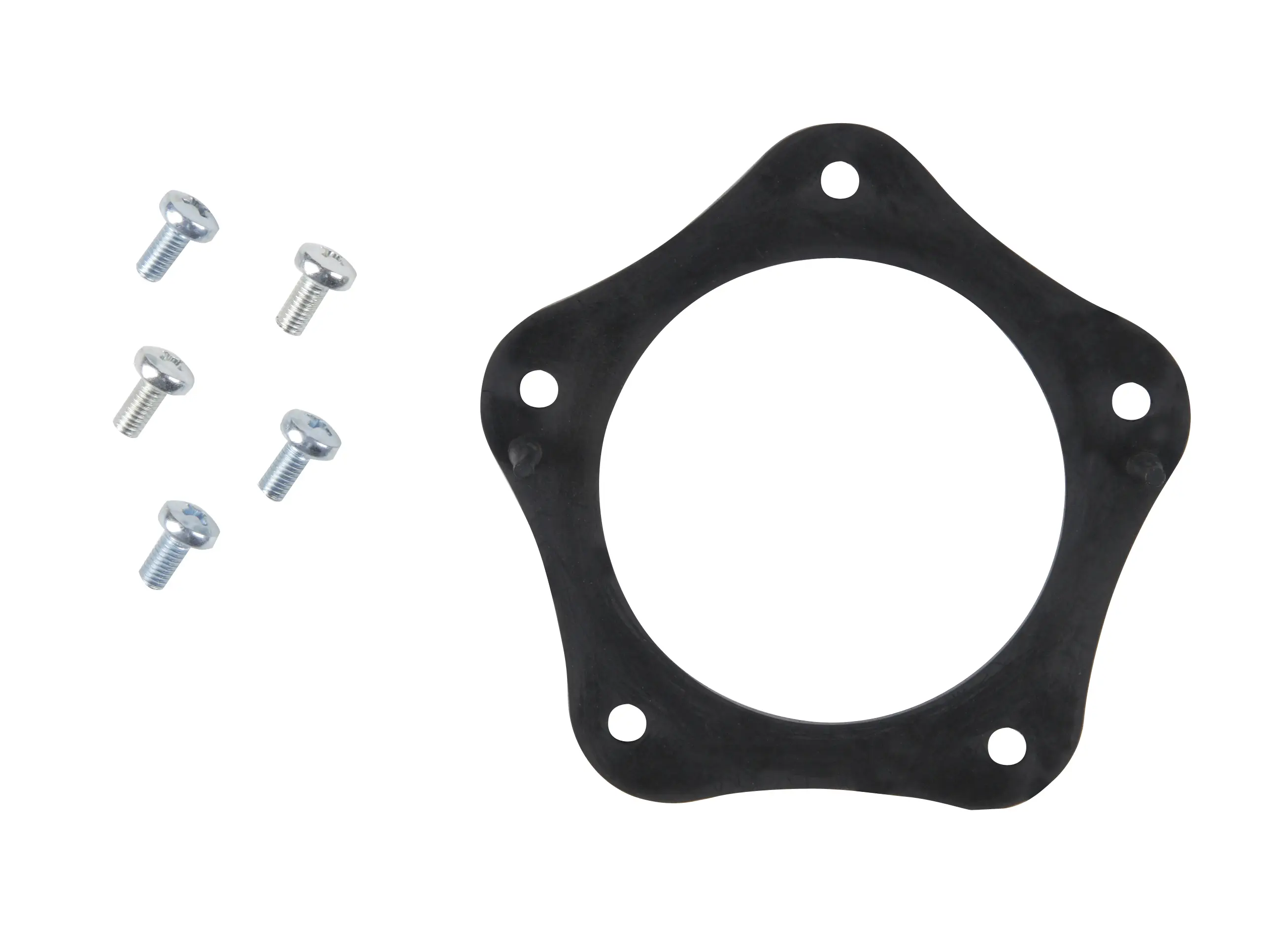 Fuel Pump Tank Seal - image principale du produit