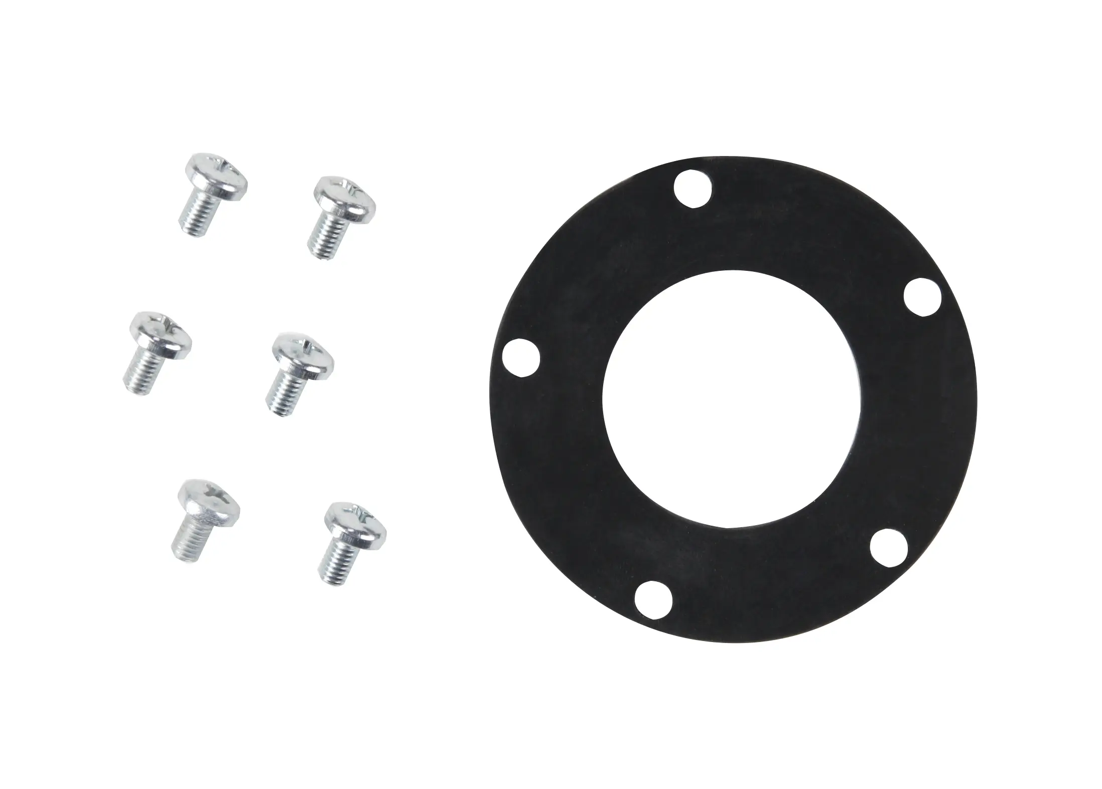 Fuel Pump Tank Seal - image principale du produit