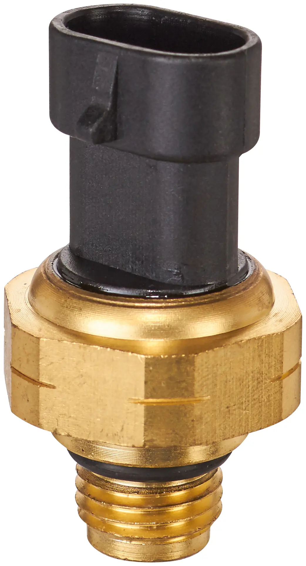Manifold Sensor - image principale du produit
