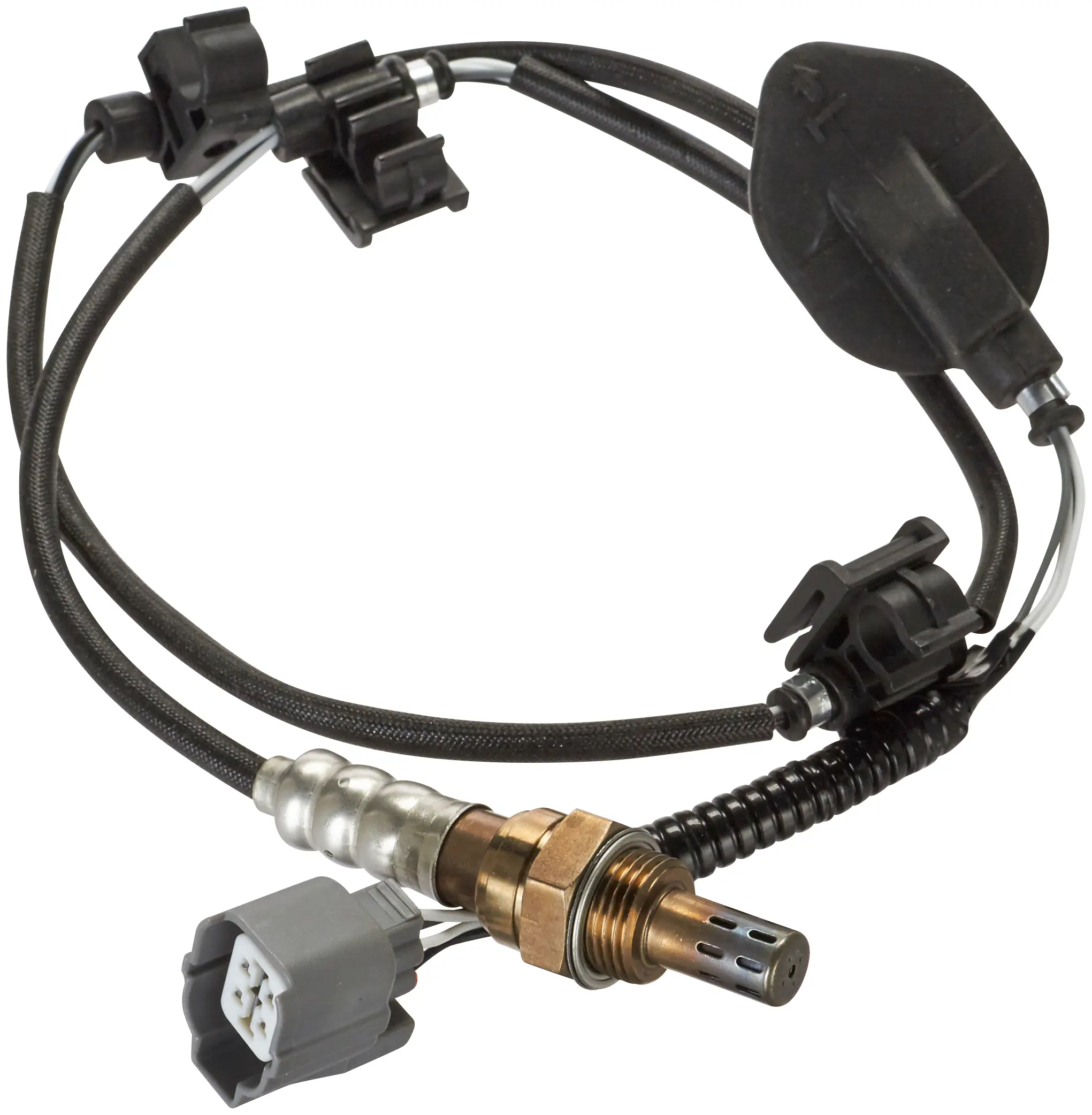 Oxygen Sensor - image principale du produit