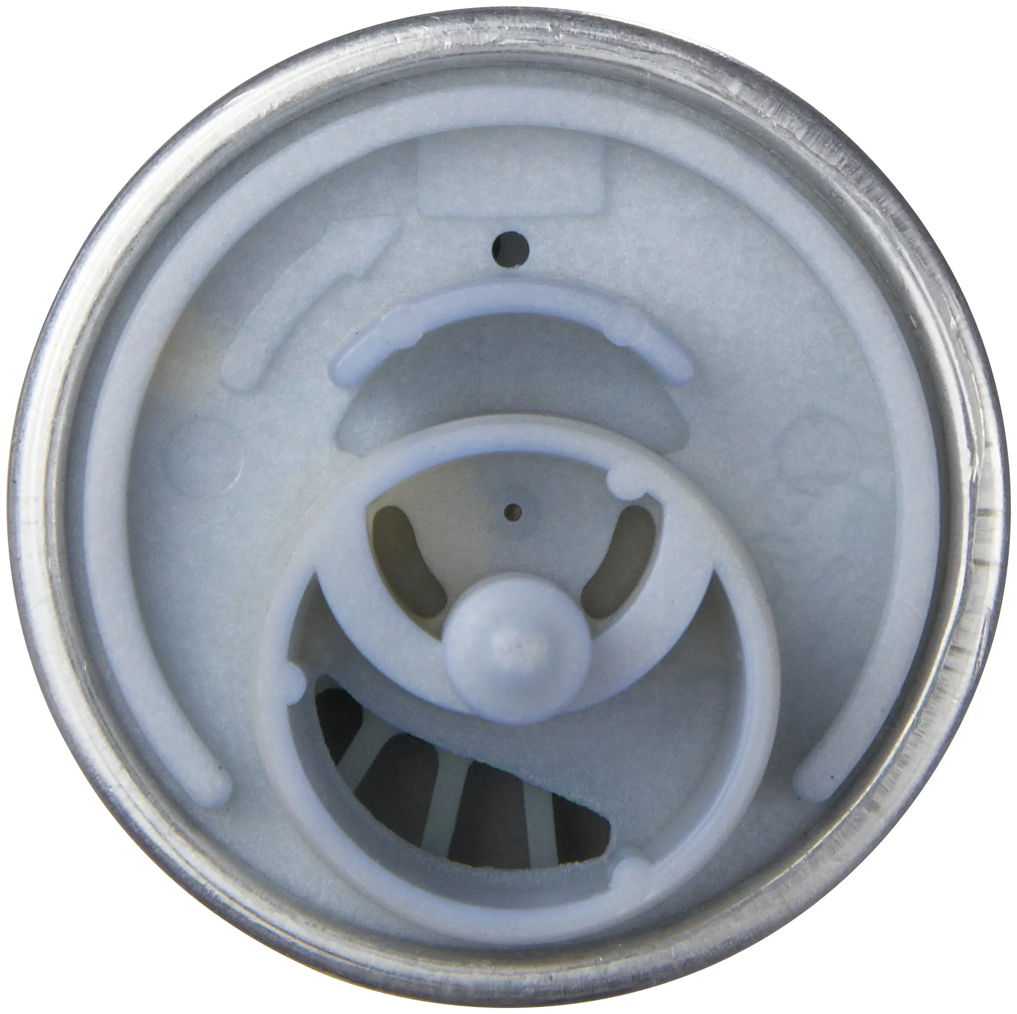 Electric Fuel Pump miniature 5