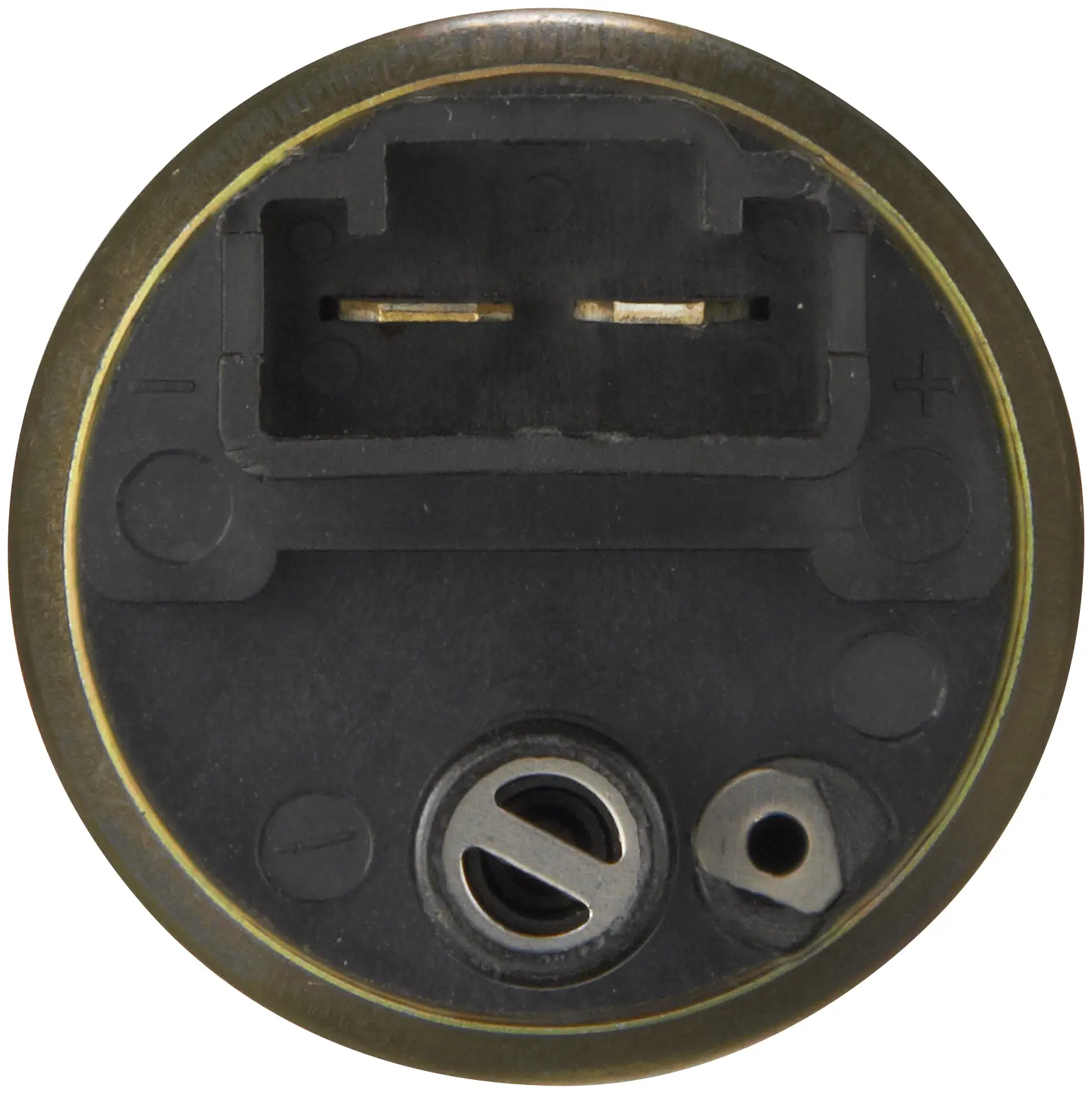 Electric Fuel Pump miniature 4