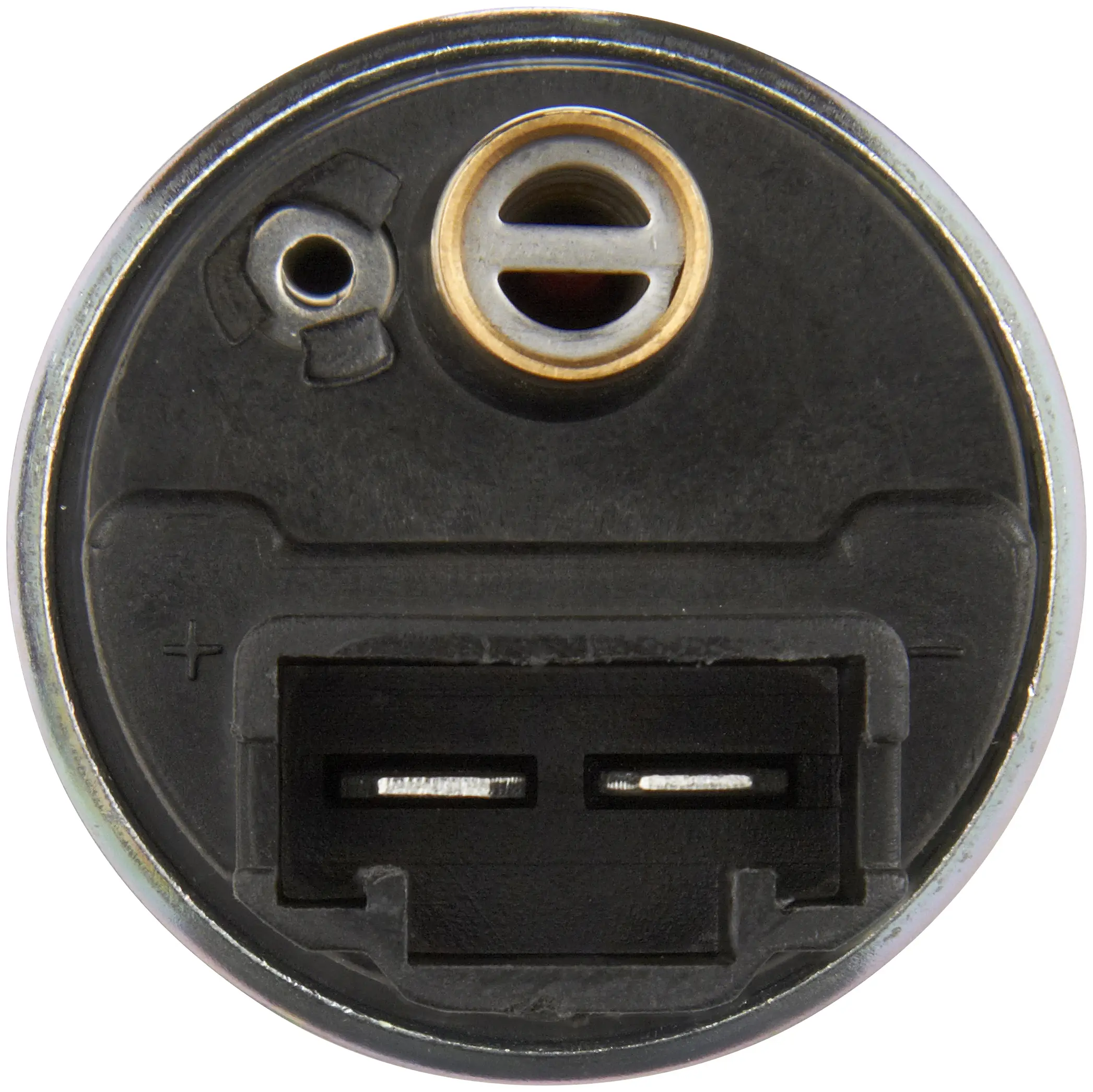 Electric Fuel Pump miniature 2