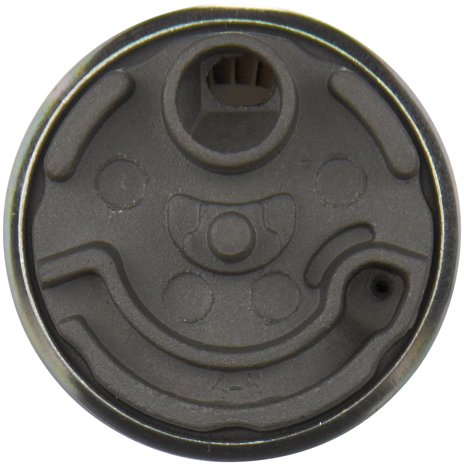 Electric Fuel Pump miniature 2