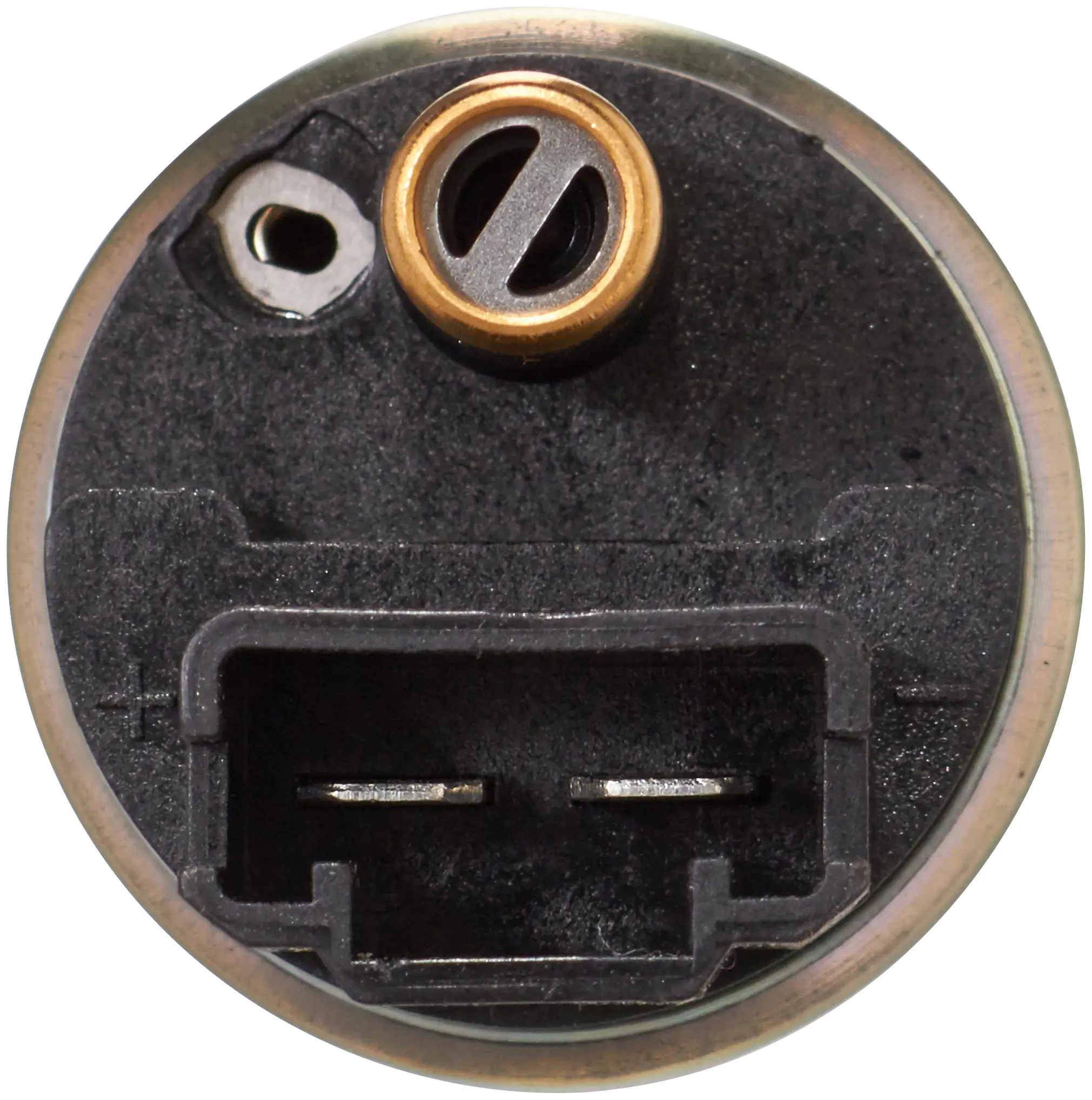 Electric Fuel Pump miniature 4