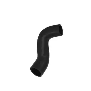 RADIATOR HOSE - image principale du produit