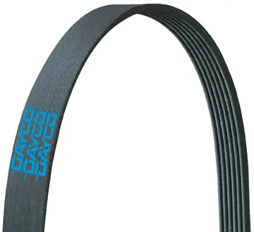 V-RIBBED BELT - image principale du produit