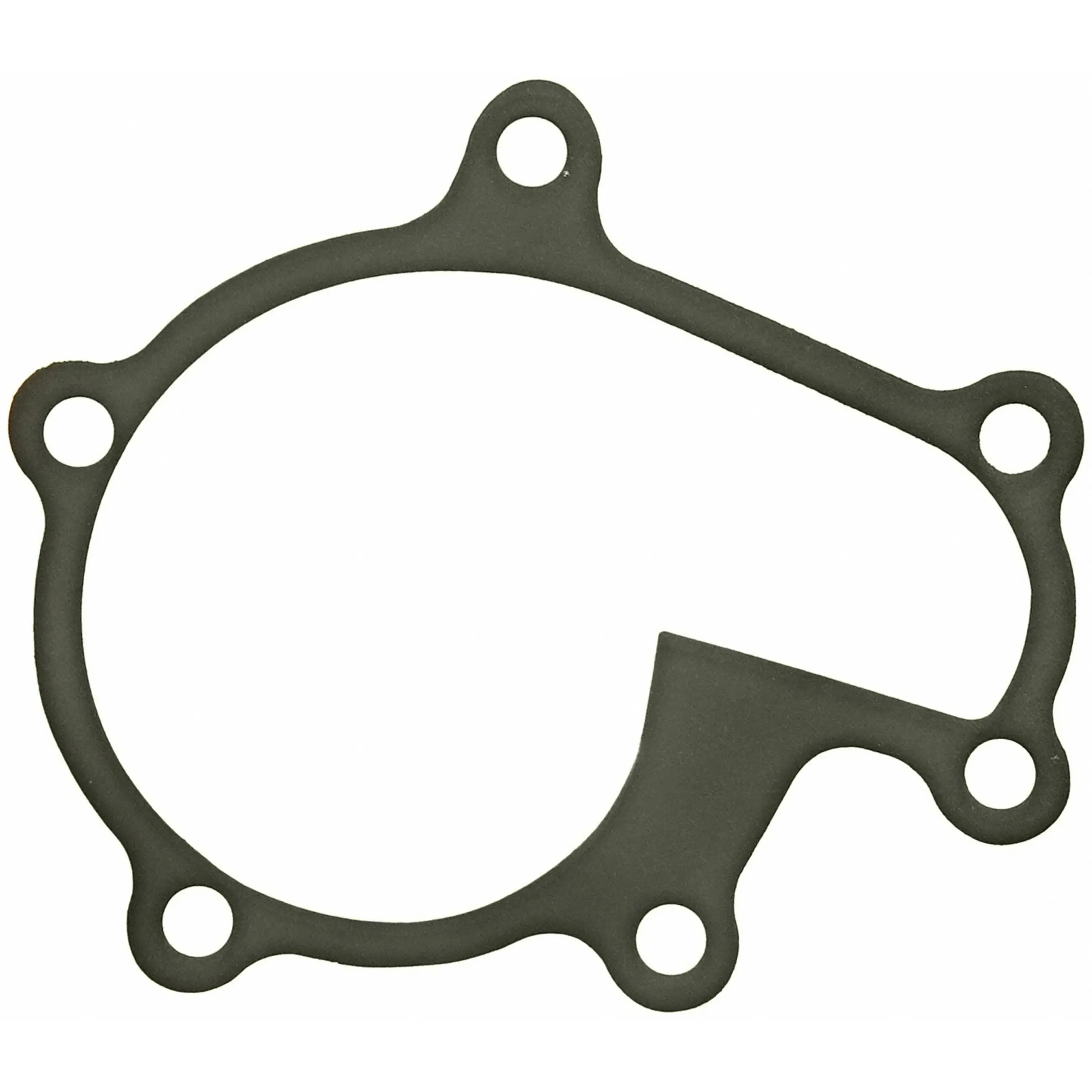 Water Pump Gasket - image principale du produit