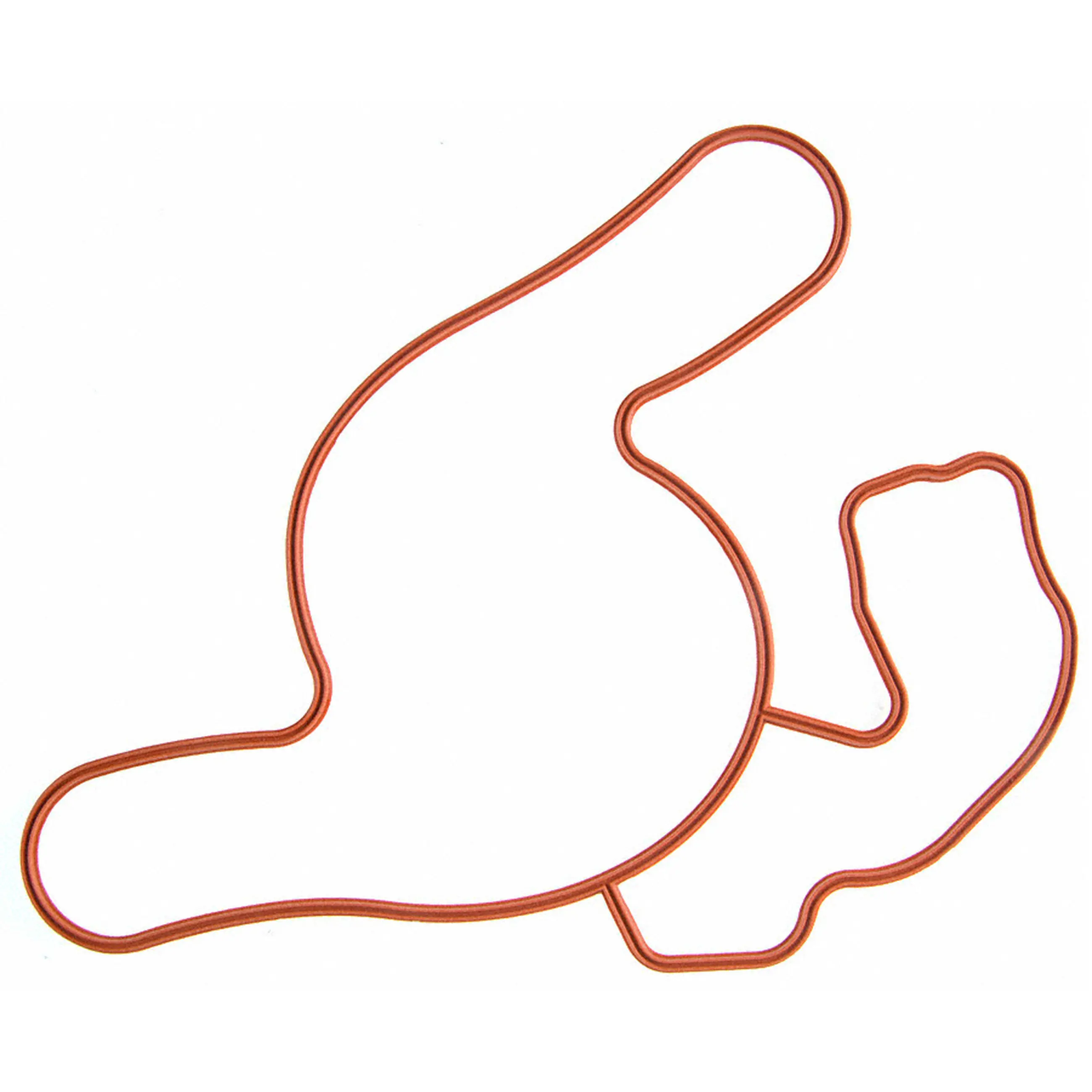 Water Pump Gasket - image principale du produit