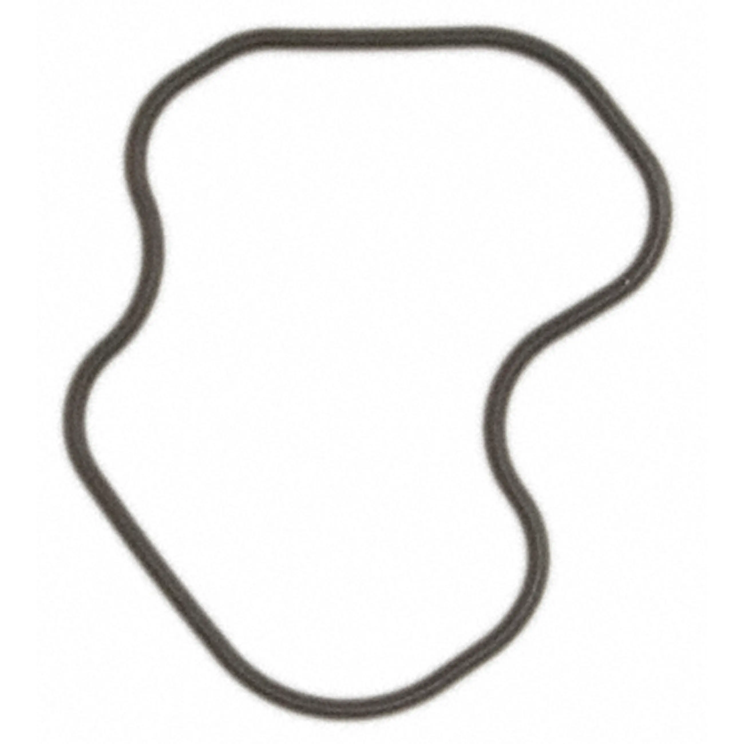 Eng Coolant Gasket - image principale du produit