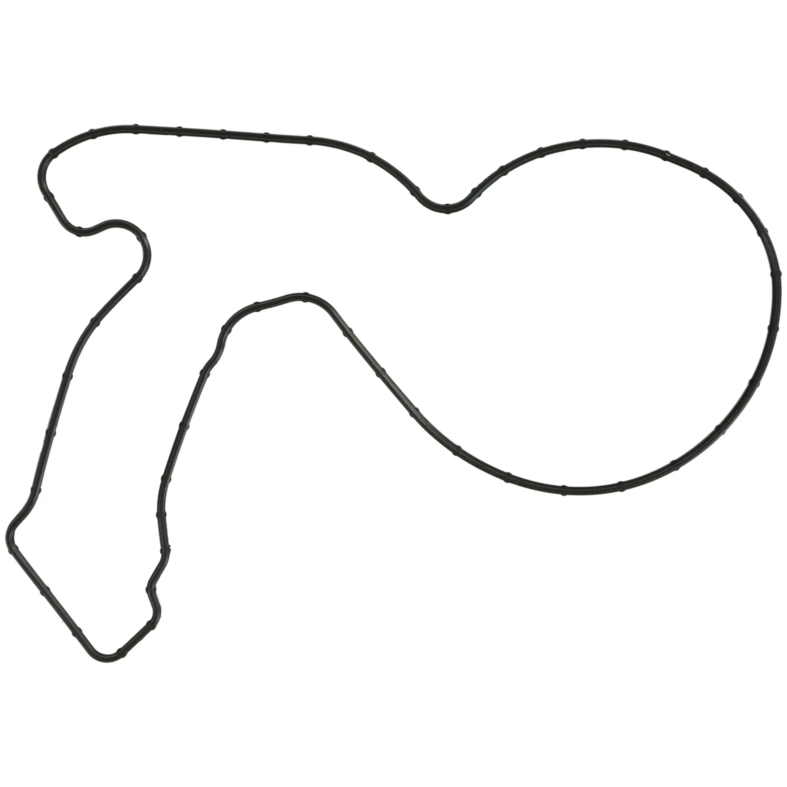 Water Pump Gasket - image principale du produit