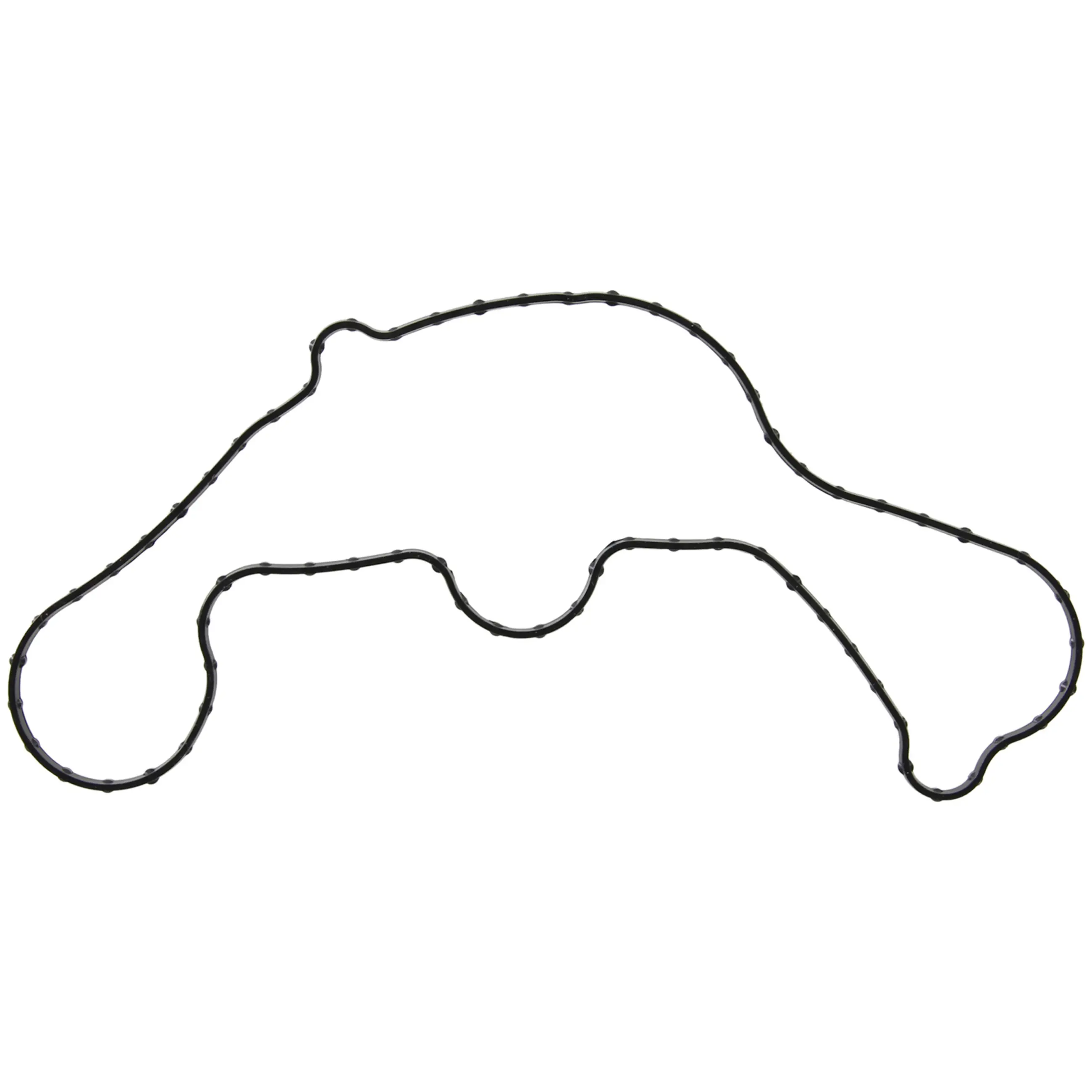 Water Pump Gasket - image principale du produit