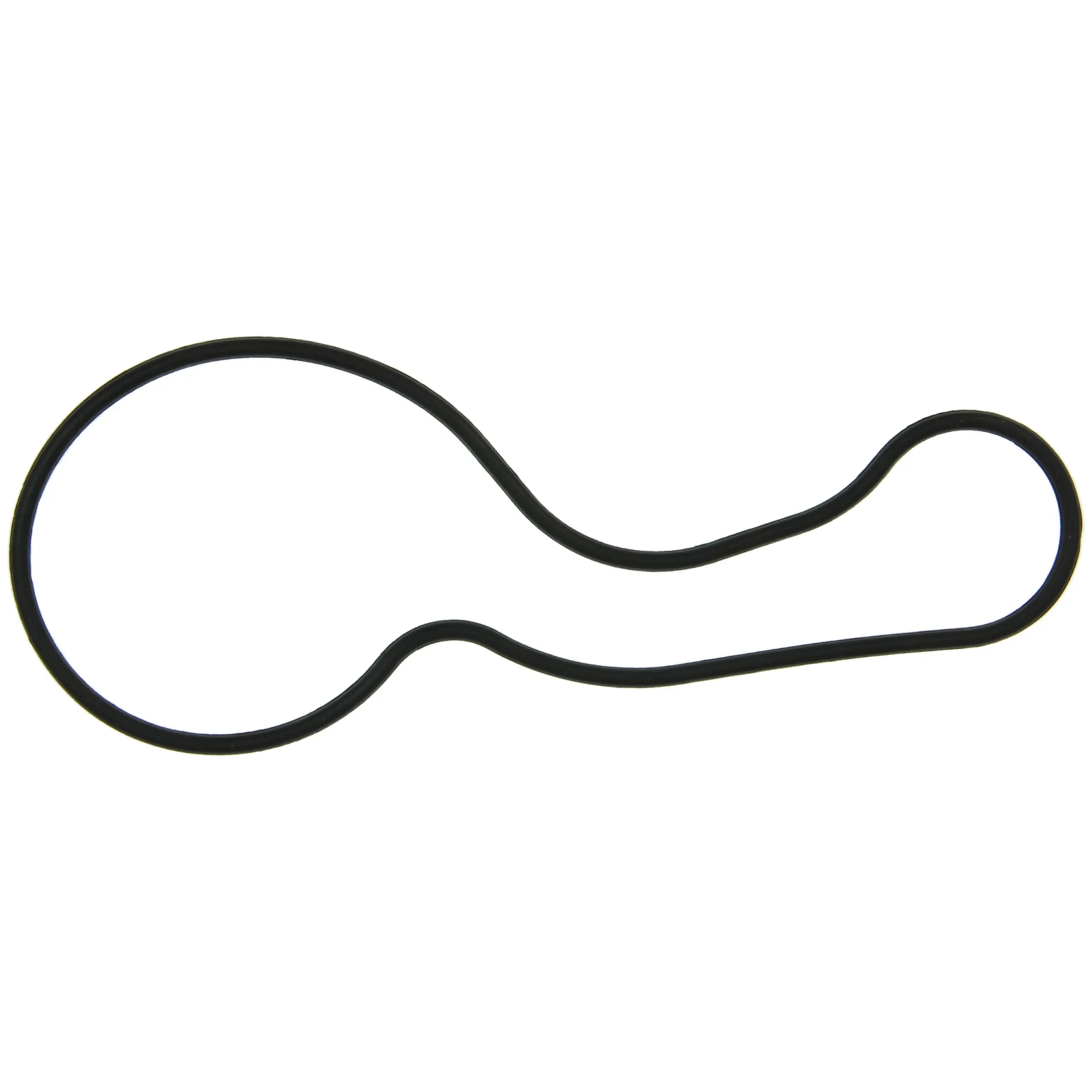 Water Pump Gasket - image principale du produit