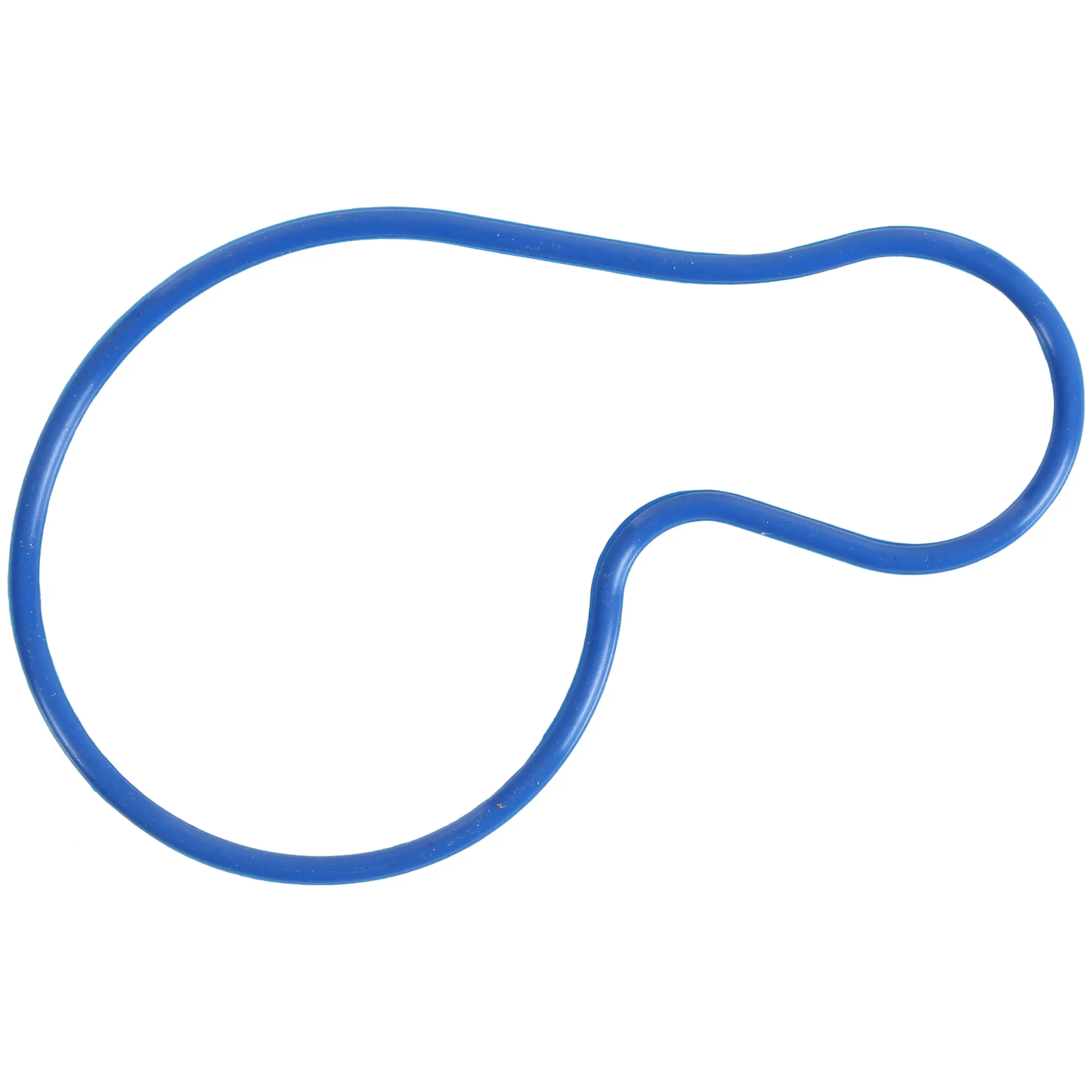 Water Pump Gasket - image principale du produit