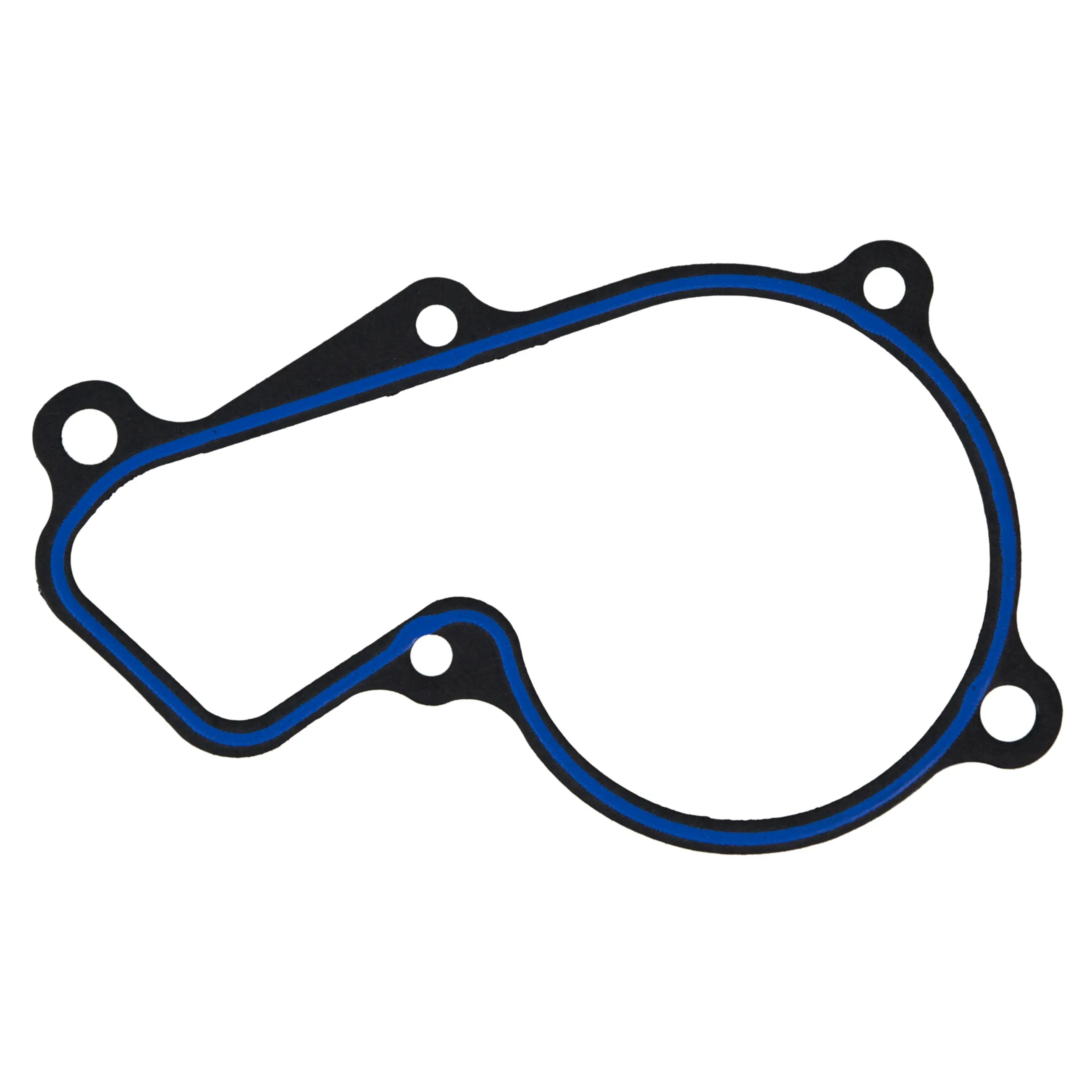Water Pump Gasket - image principale du produit