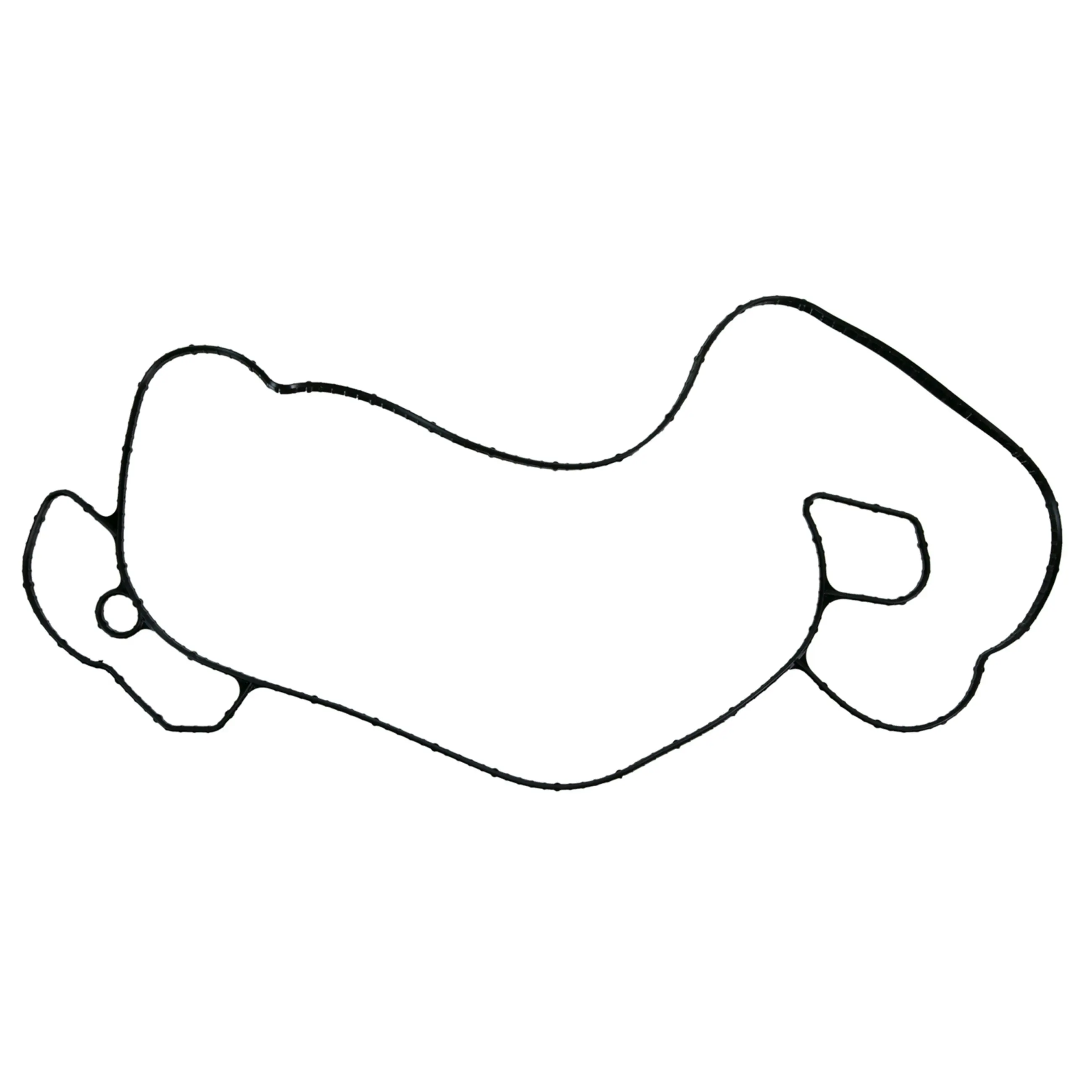 Water Pump Gasket - image principale du produit