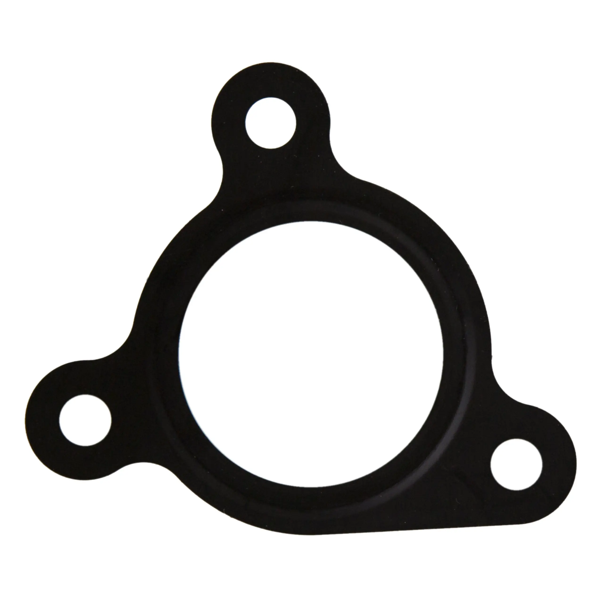 Eng Coolant Gasket - image principale du produit