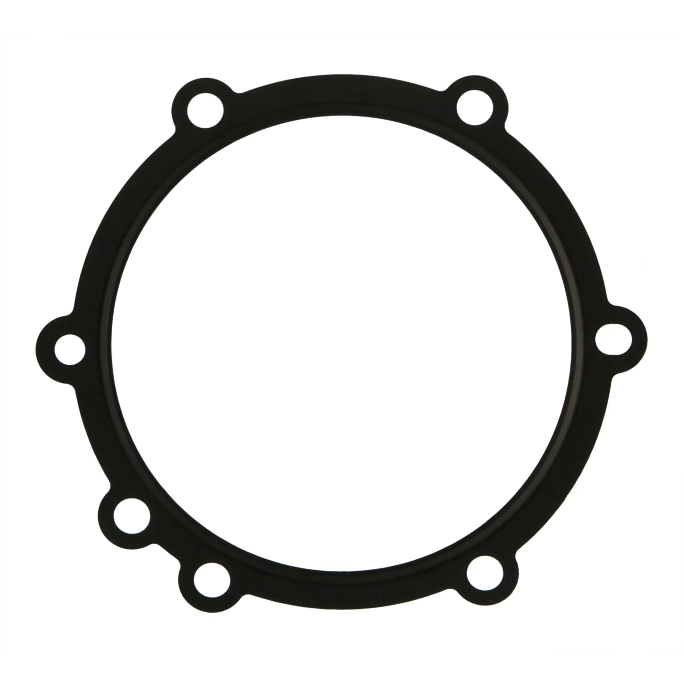 Water Pump Gasket - image principale du produit