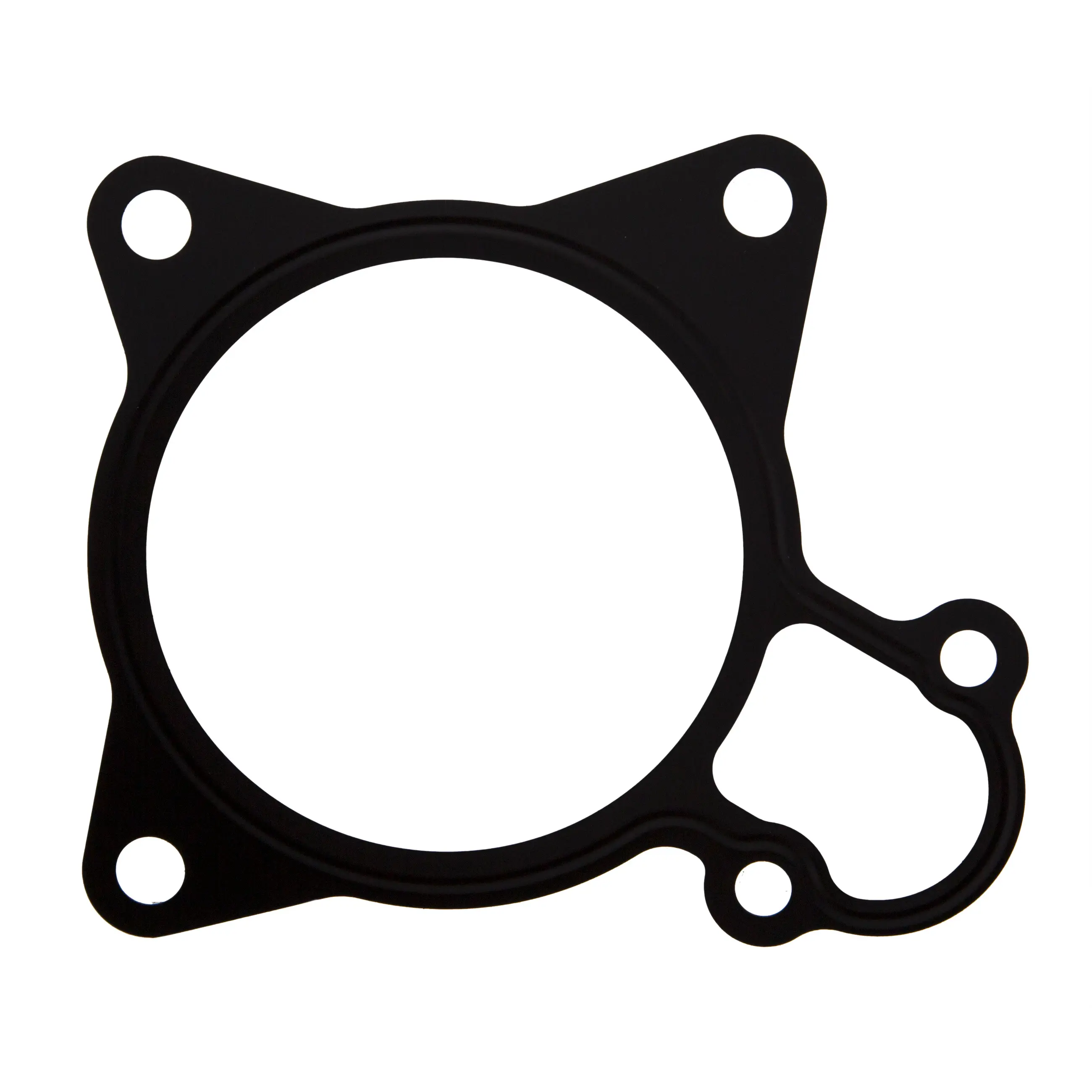 Water Pump Gasket - image principale du produit