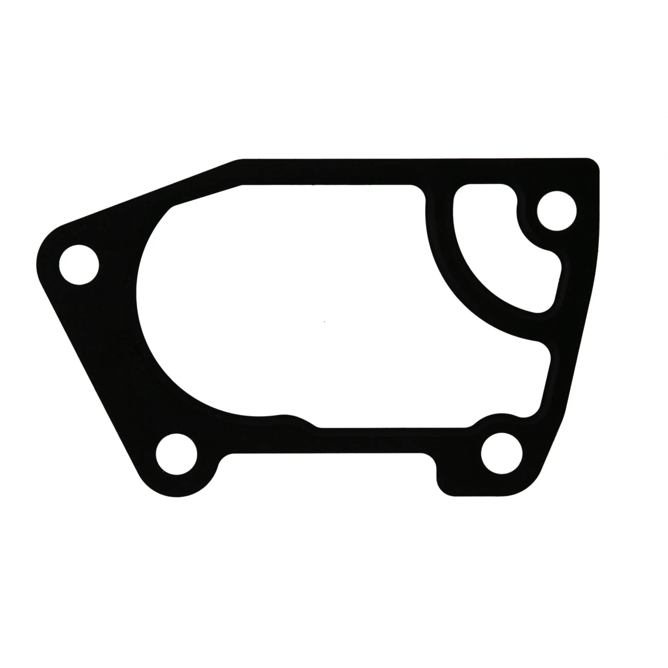 Eng Coolant Gasket - image principale du produit