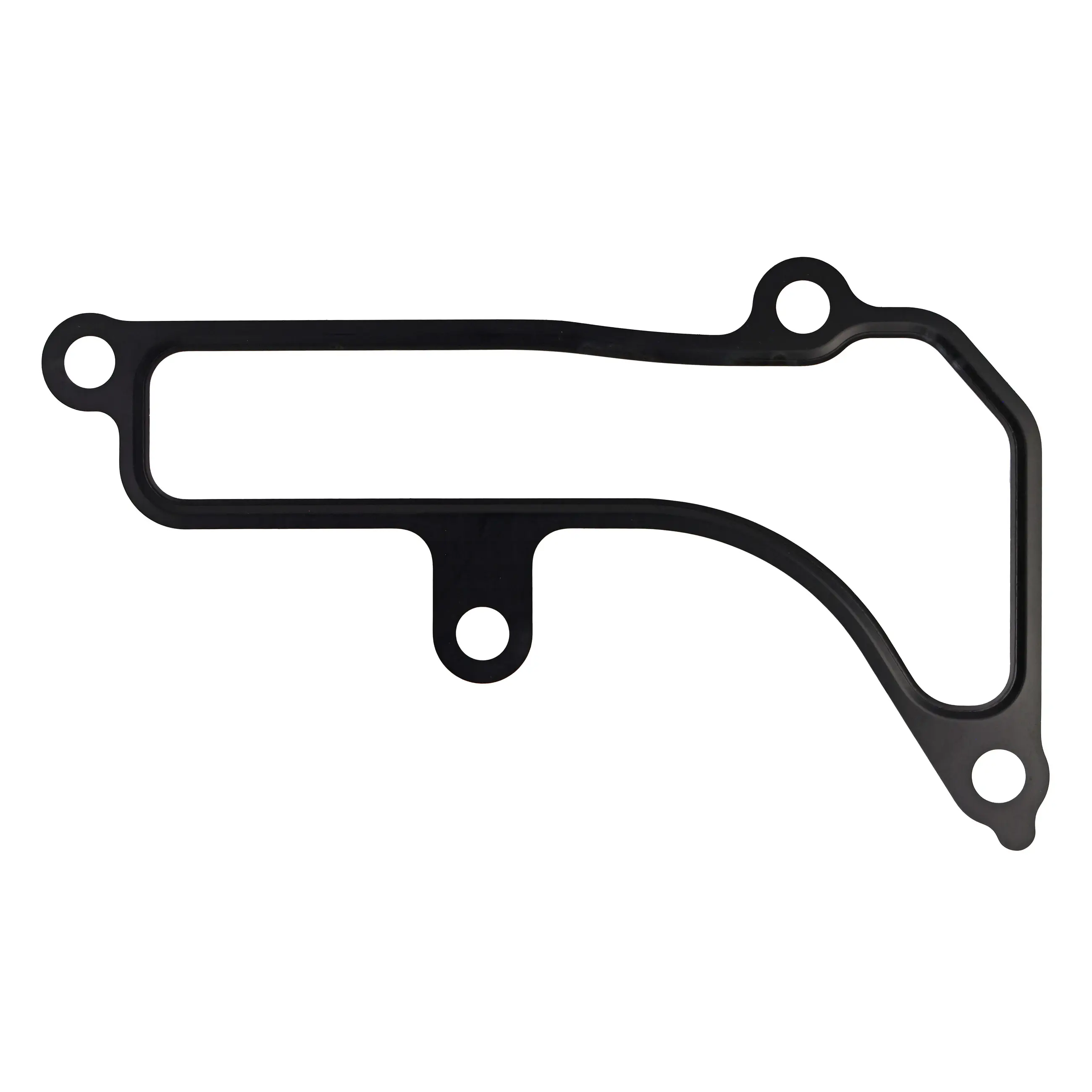 Eng Coolant Gasket - image principale du produit