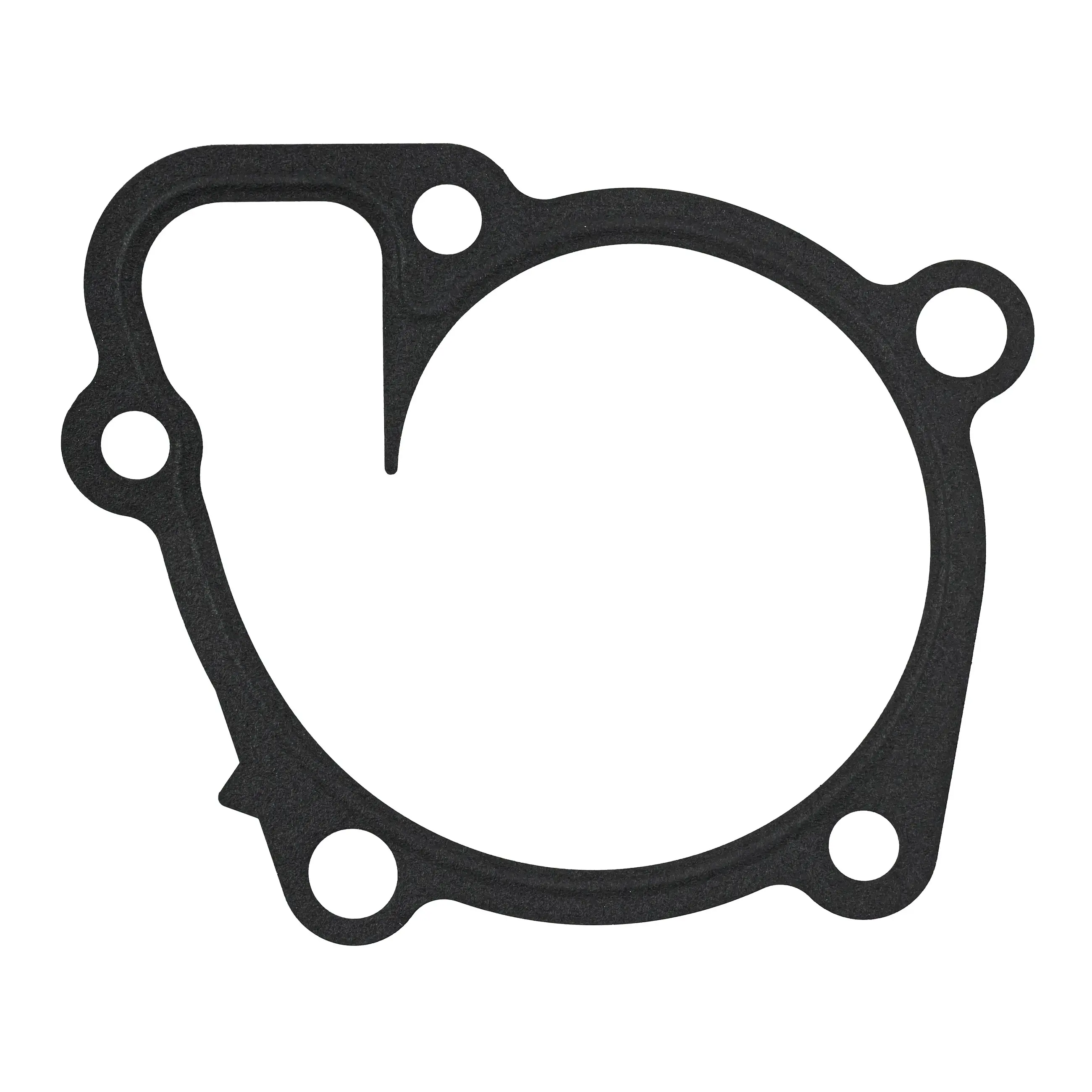 Water Pump Gasket - image principale du produit
